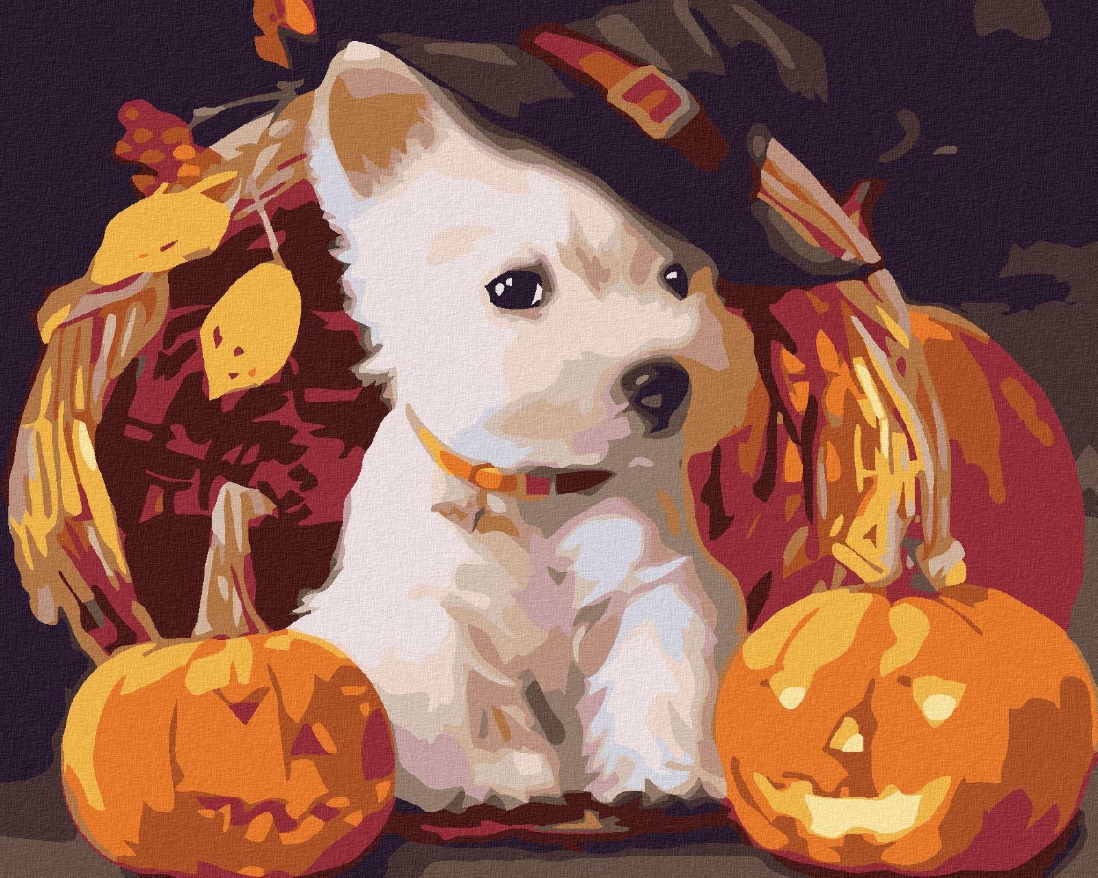 Malování podle čísel - Štěně s dýněmi, 100x80 cm, vypnuté plátno na rám