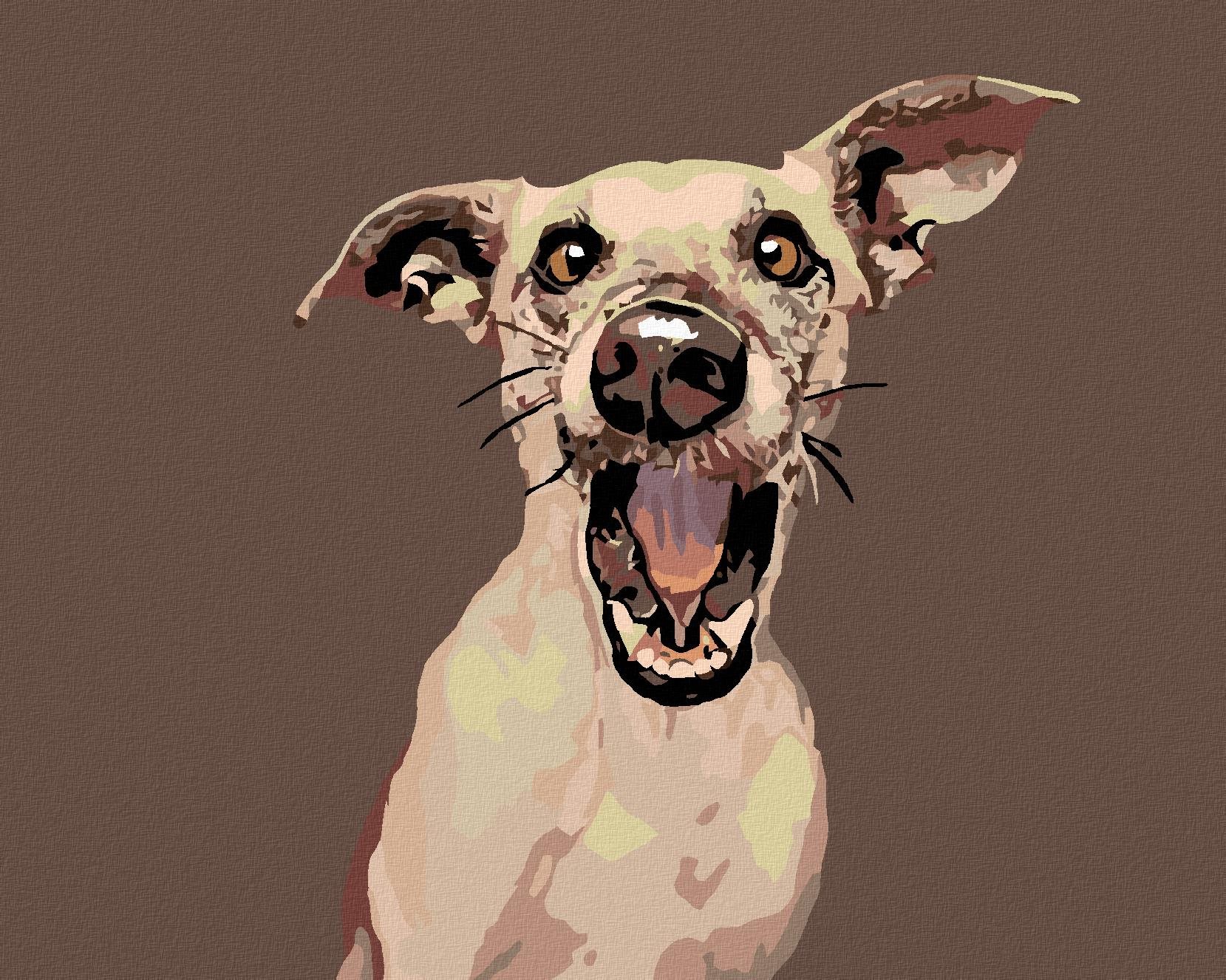 Malování podle čísel - Překvapený pes, 50x40 cm, vypnuté plátno na rám