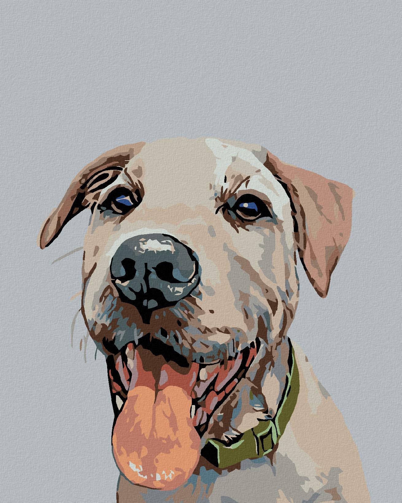Malování podle čísel - Pes se zeleným obojkem, 40x50 cm, bez rámu a bez vypnutí plátna