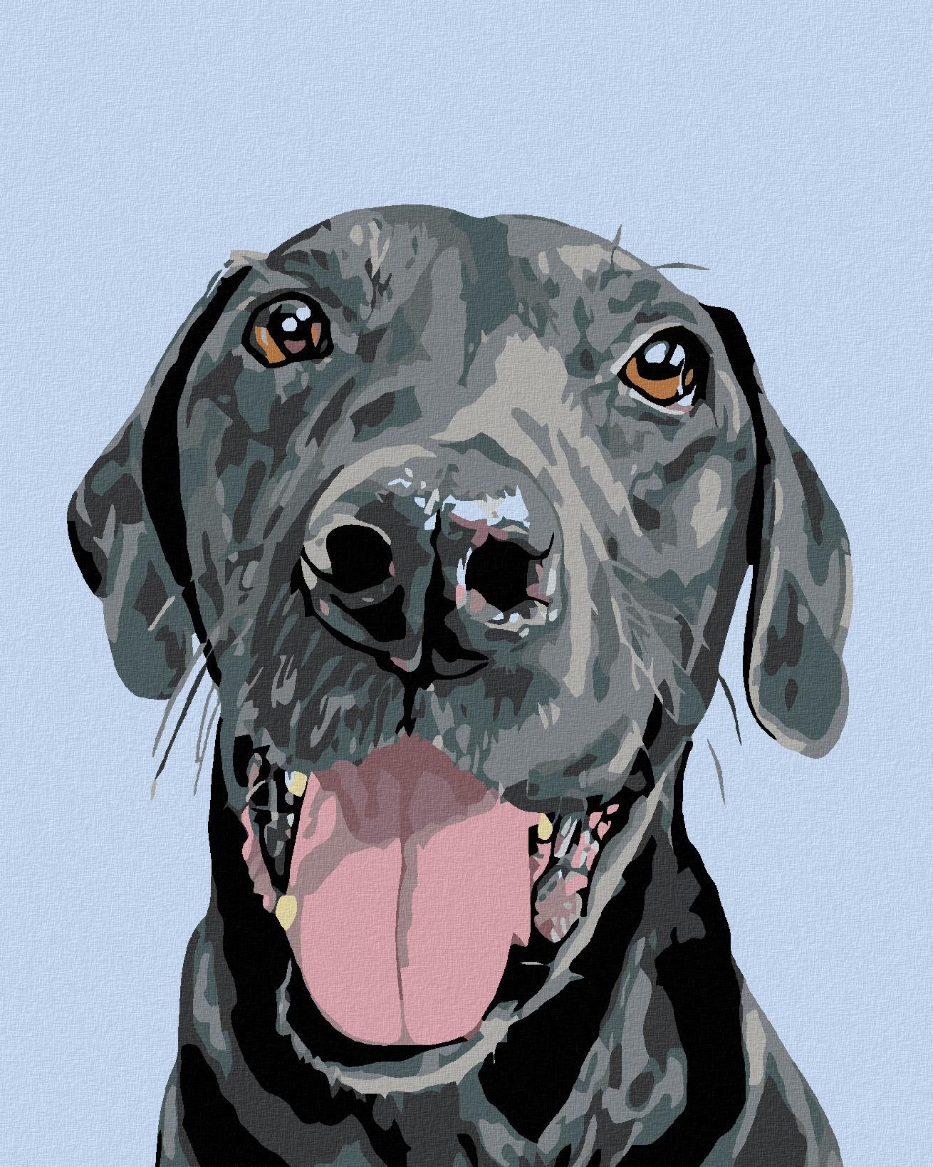 Malování podle čísel - Černý krasavec, 80x100 cm, vypnuté plátno na rám