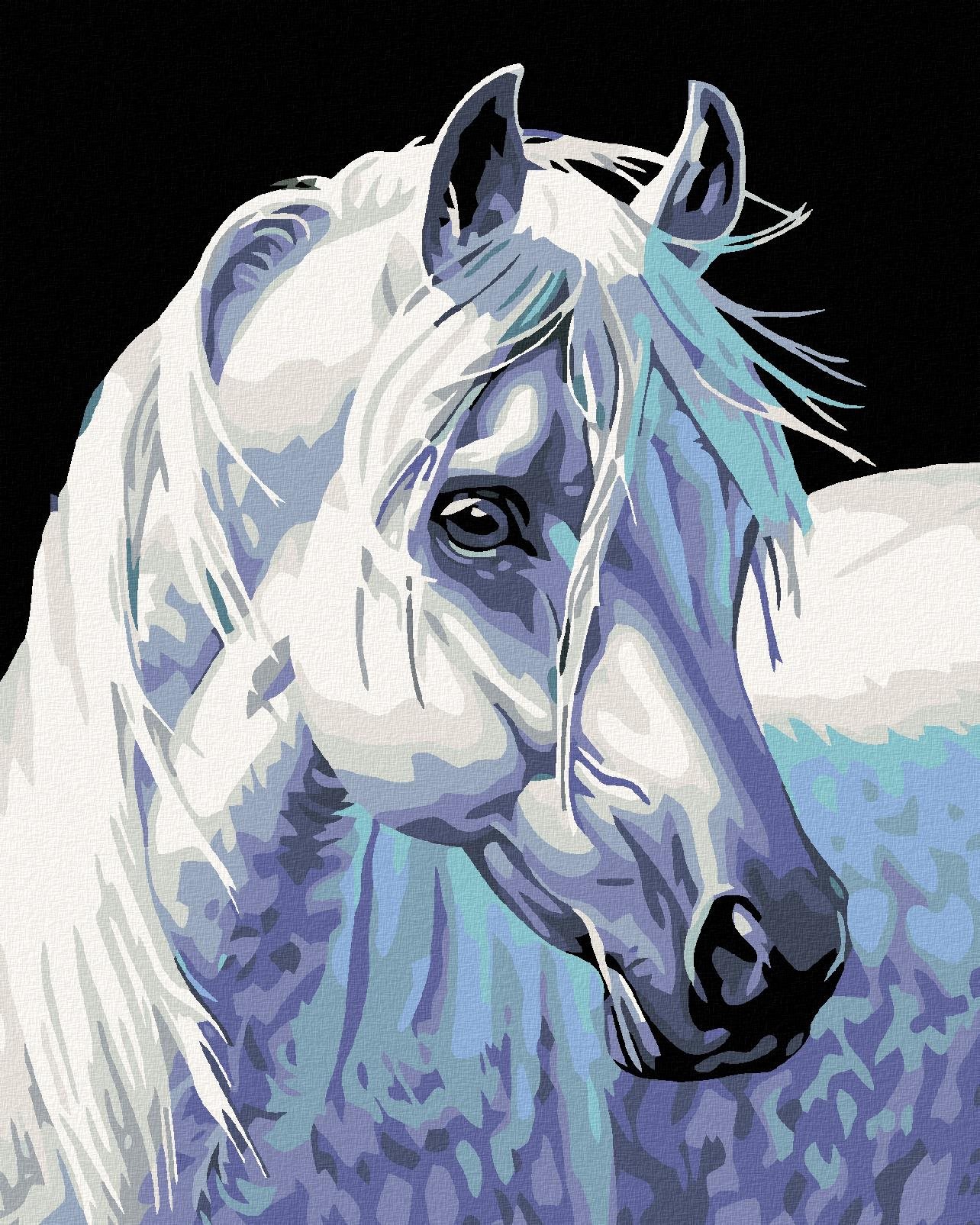 Malování podle čísel - Bílý kůň II, 40x50 cm, vypnuté plátno na rám