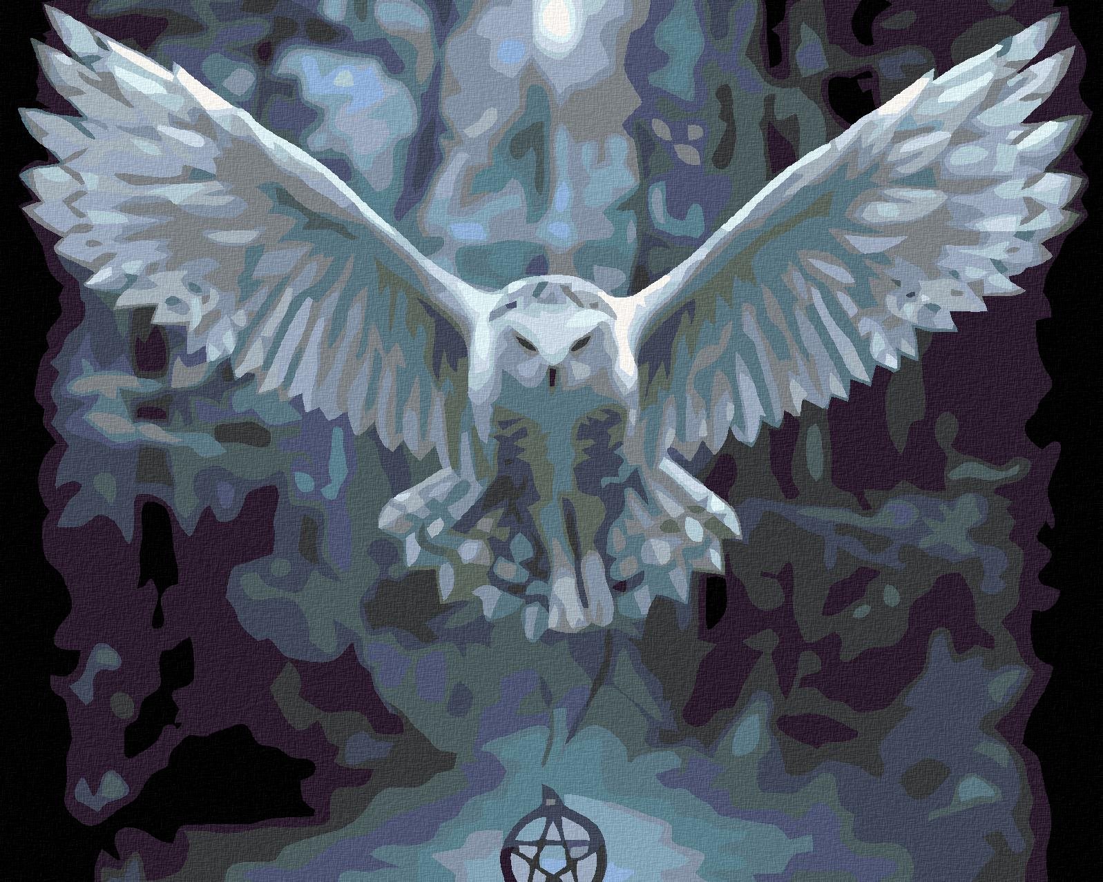 Malování podle čísel - Sova s pentagramem, 100x80 cm, bez rámu a bez vypnutí plátna
