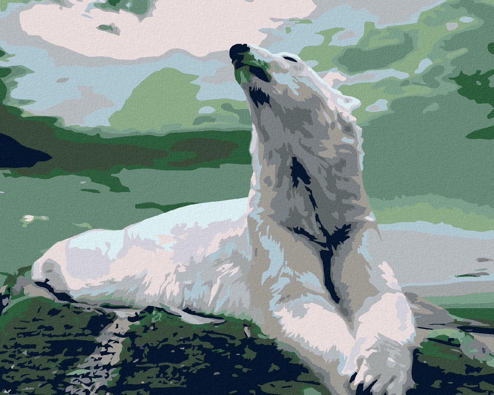 Malování podle čísel - Lední medvěd, 50x40 cm, vypnuté plátno na rám