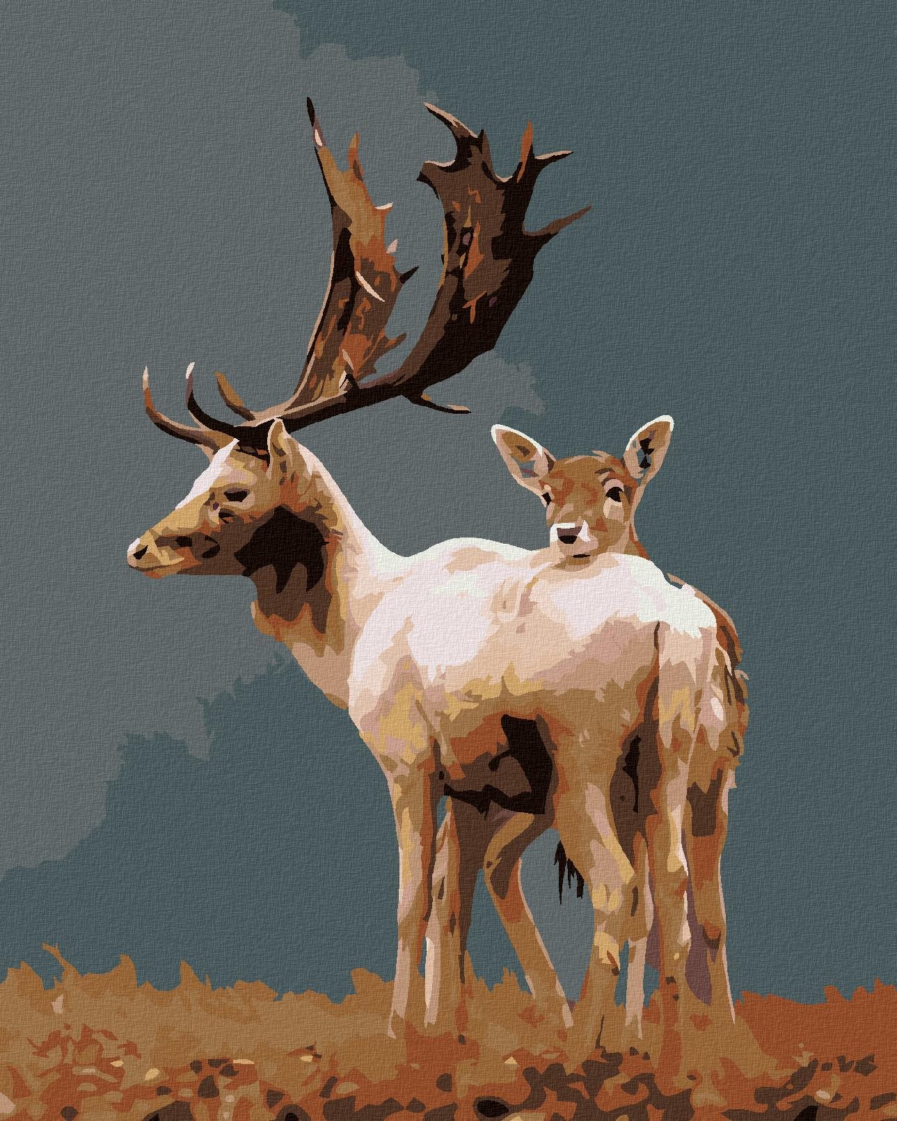 Malování podle čísel - Daněk s laní, 40x50 cm, vypnuté plátno na rám