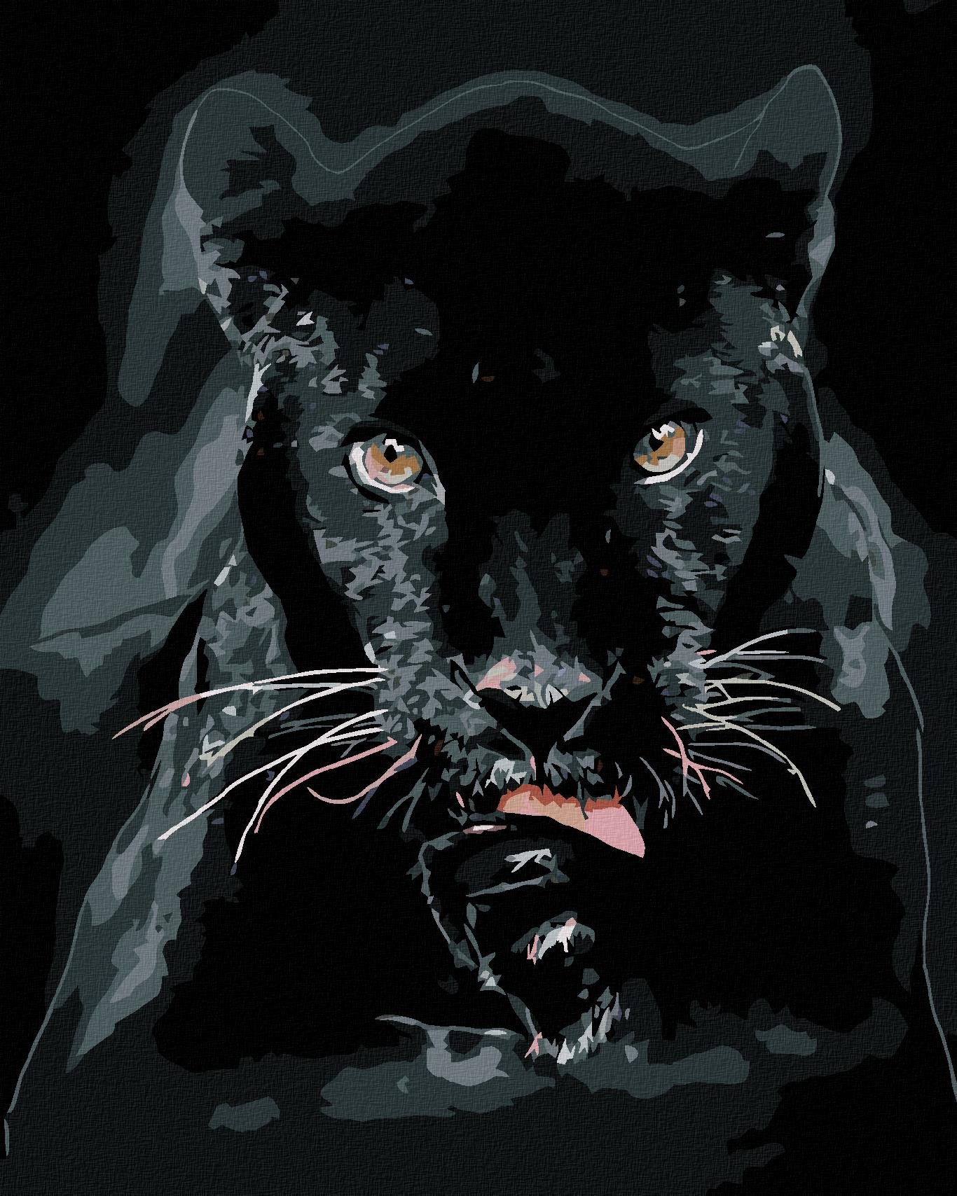 Malování podle čísel - Černá puma, 40x50 cm, bez rámu a bez vypnutí plátna