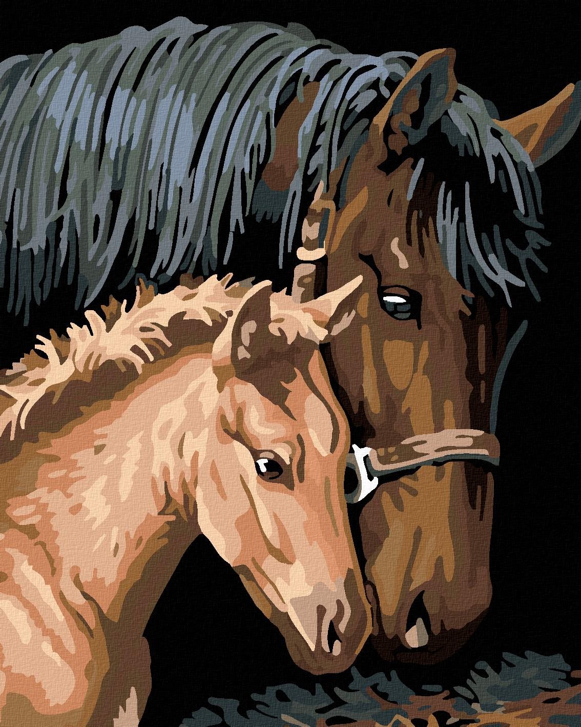 Malování podle čísel - Hnědá kobyla s hříbětem, 40x50 cm, bez rámu a bez vypnutí plátna
