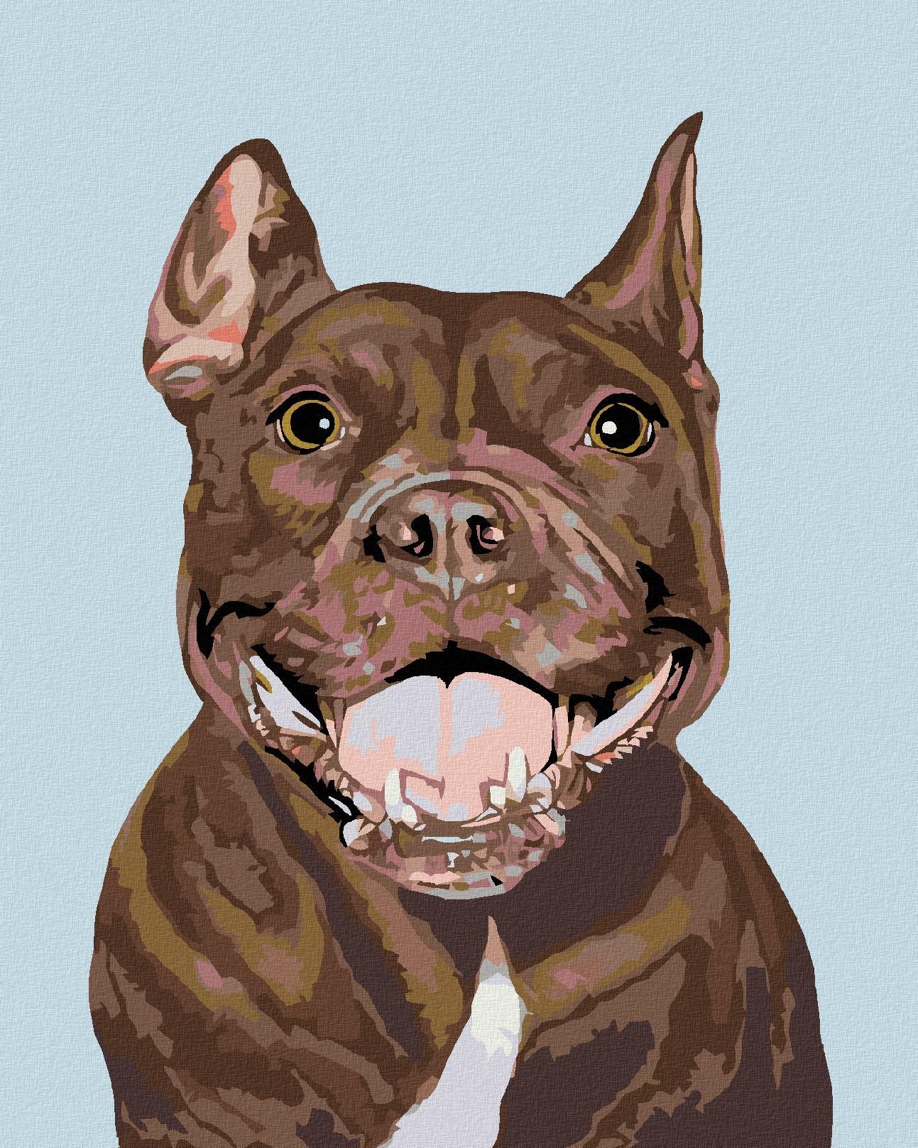 Malování podle čísel - Pitbull, 40x50 cm, vypnuté plátno na rám
