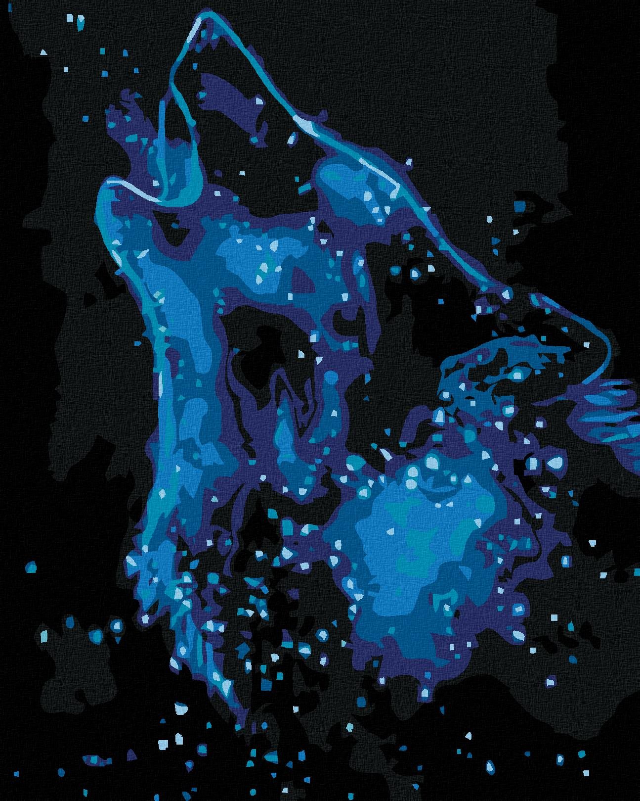 Malování podle čísel - Hvězdný vlk, 40x50 cm, vypnuté plátno na rám