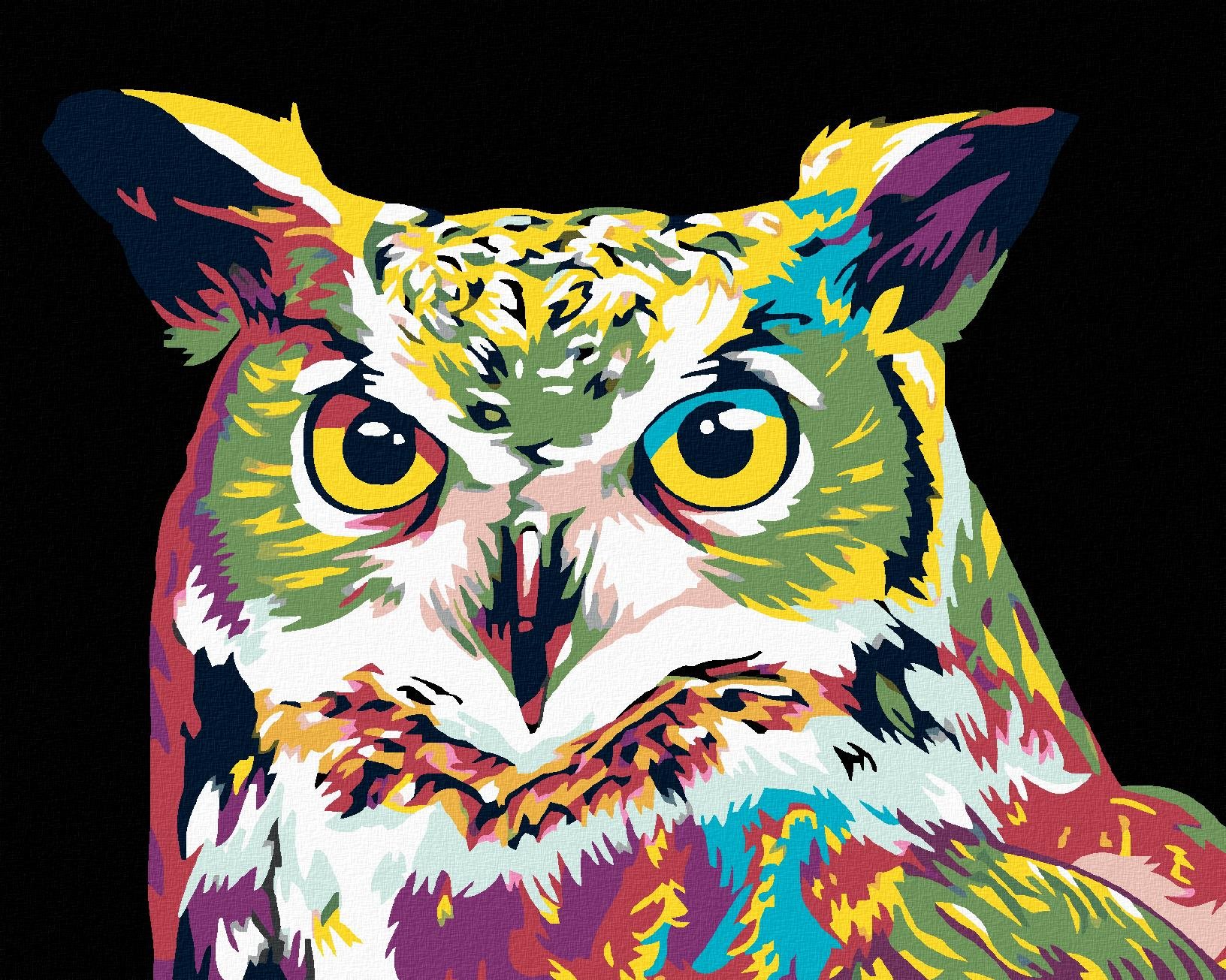 Malování podle čísel - Barevná sova, 100x80 cm, vypnuté plátno na rám