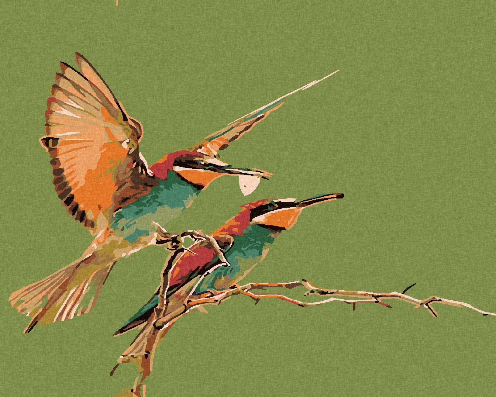 Malování podle čísel - Dva kolibříci, 100x80 cm, vypnuté plátno na rám