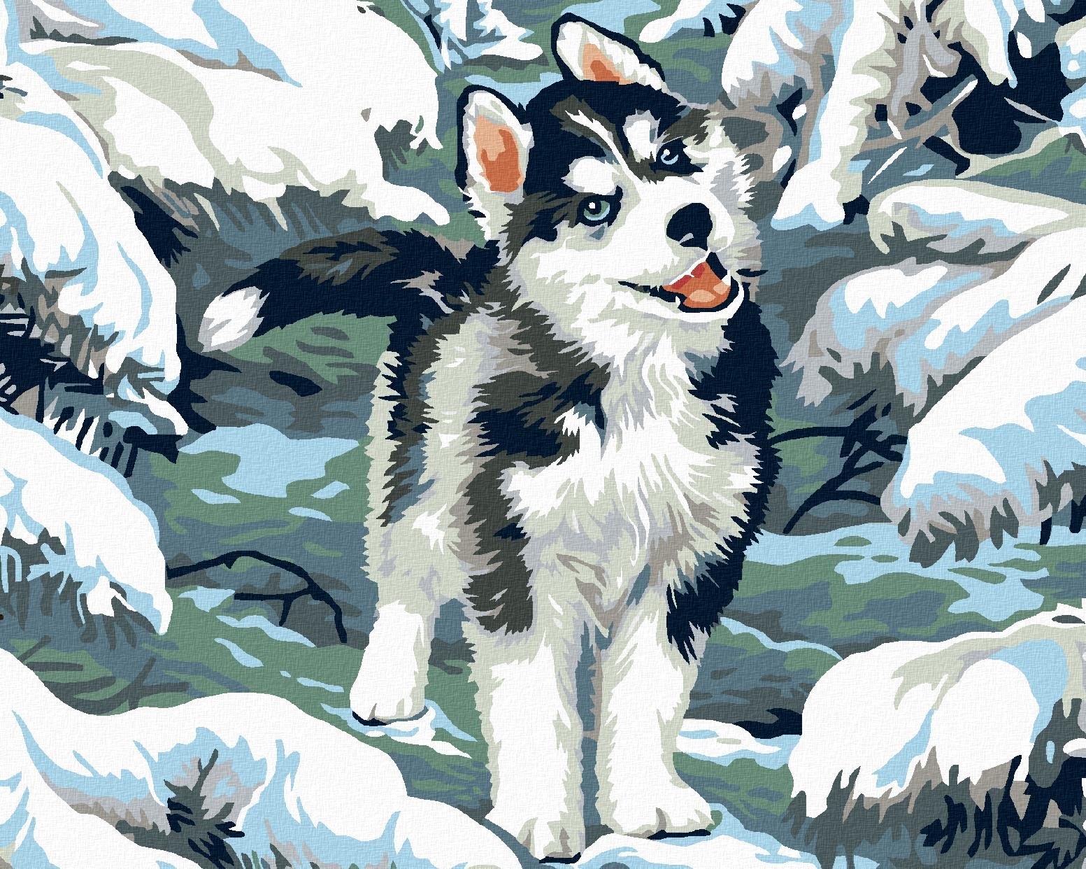 Malování podle čísel - Malý husky, 100x80 cm, bez rámu a bez vypnutí plátna