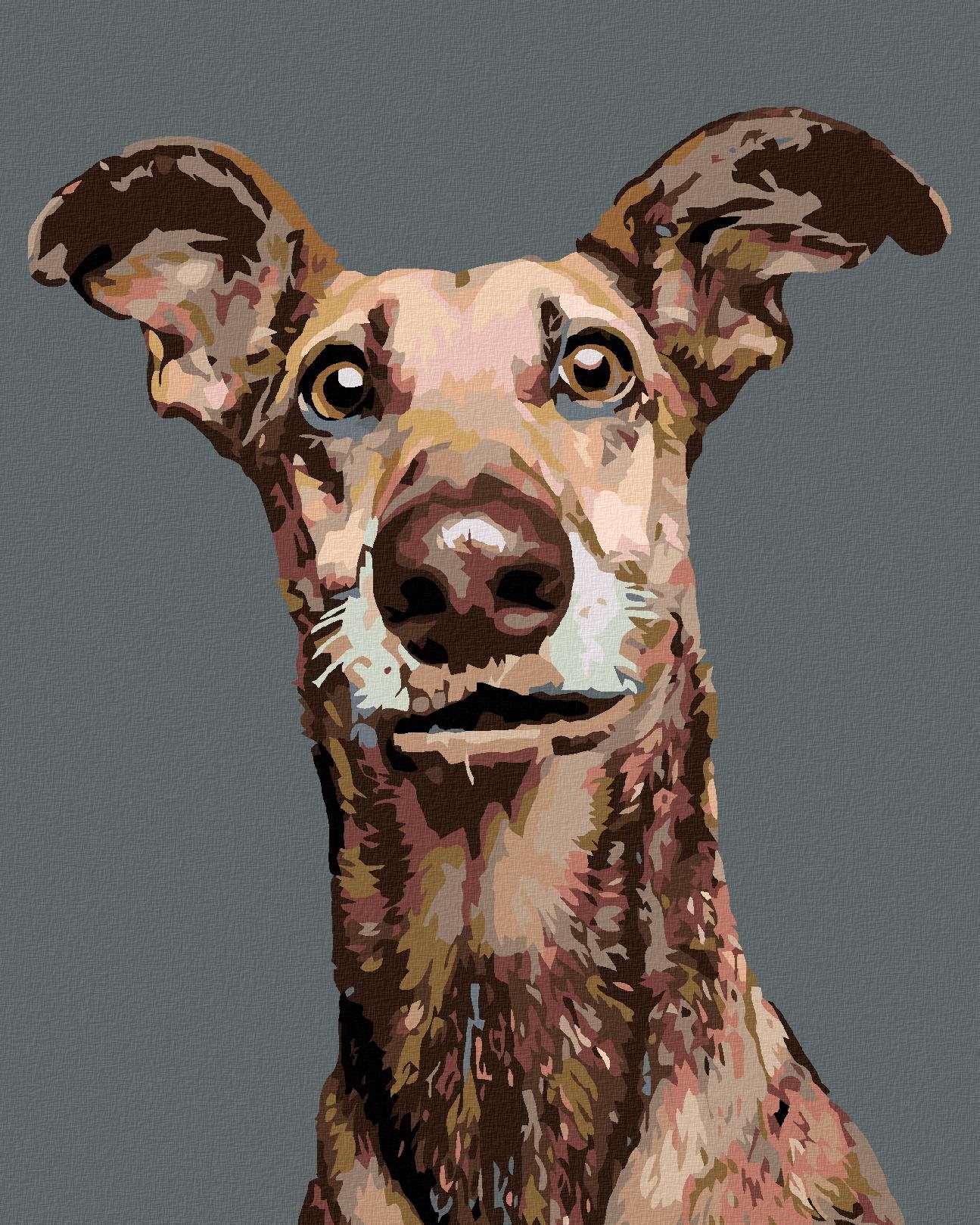Malování podle čísel - Pes s nastraženýma ušima, 40x50 cm, bez rámu a bez vypnutí plátna