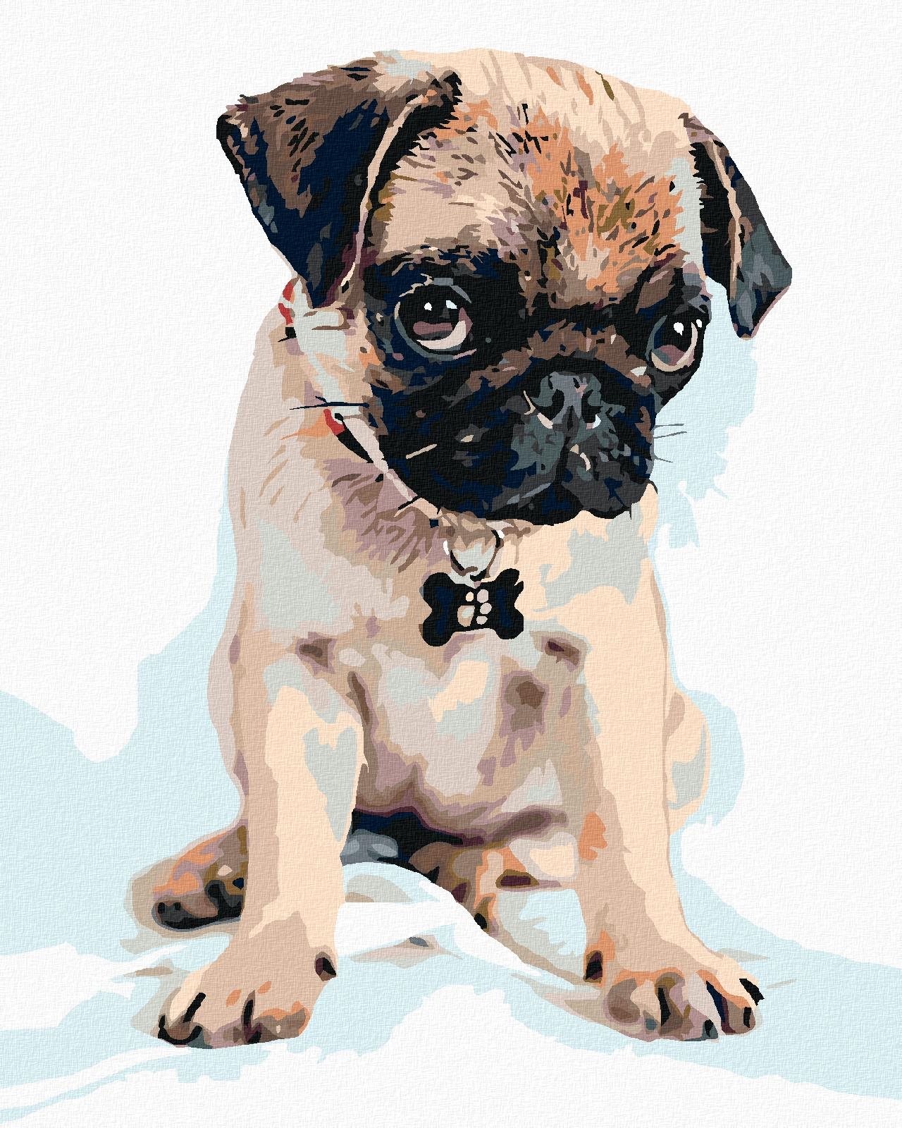 Malování podle čísel - Roztomilý mopsík, 80x100 cm, vypnuté plátno na rám