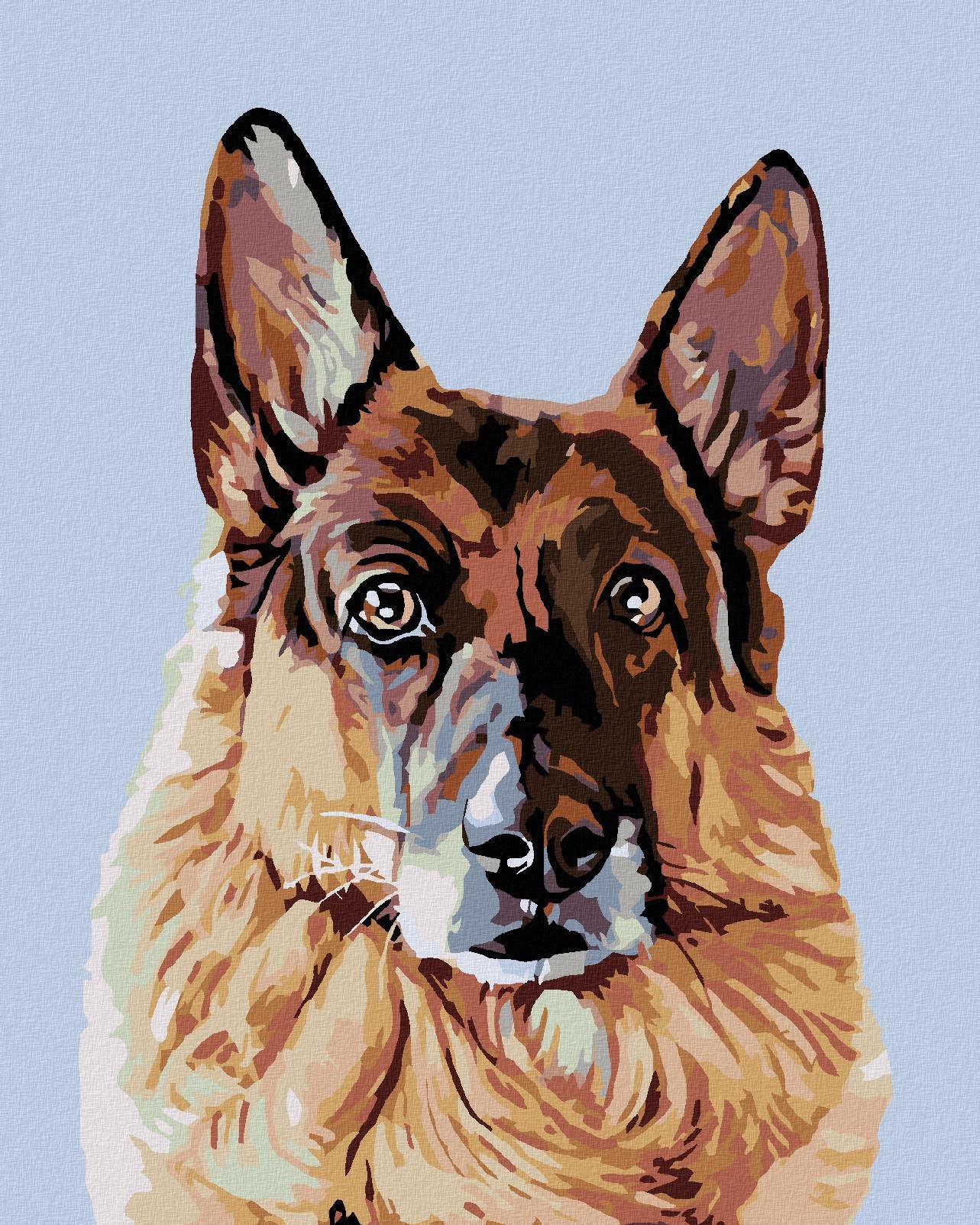 Malování podle čísel - Hledící německý ovčák, 40x50 cm, bez rámu a bez vypnutí plátna