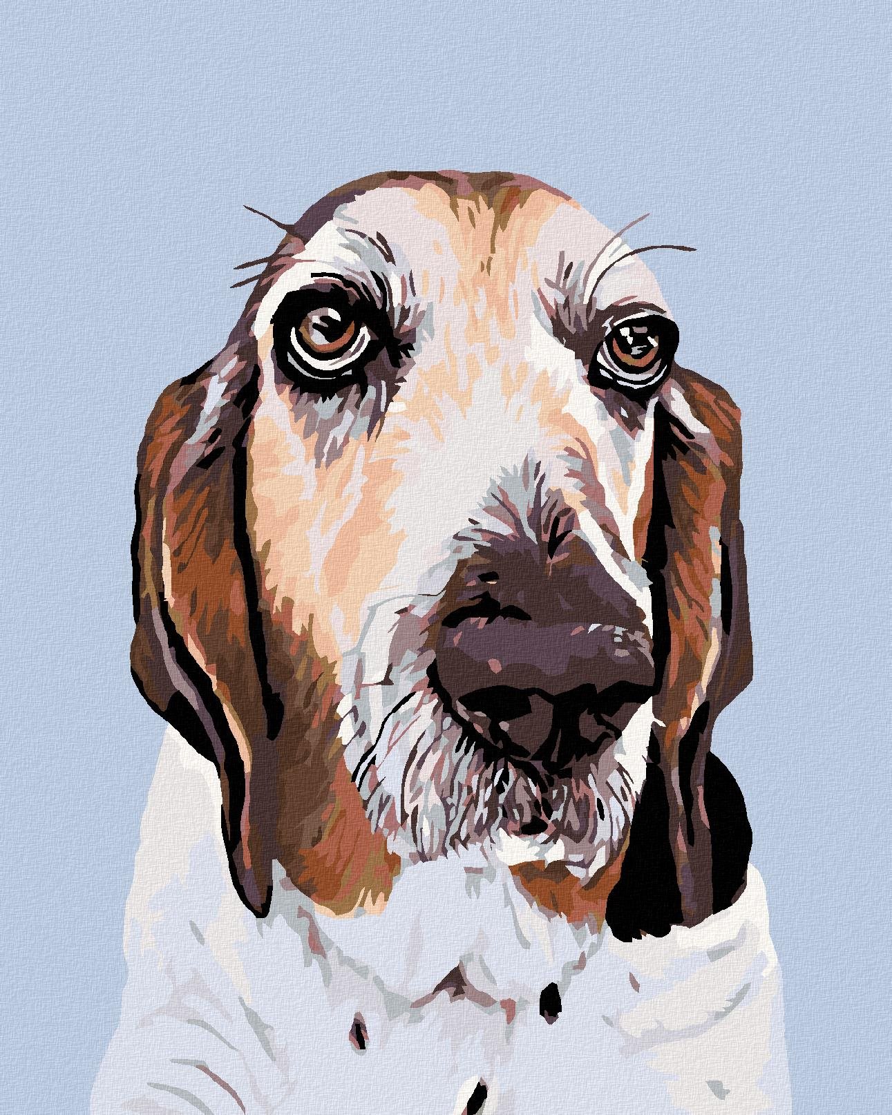 Malování podle čísel - Baset, 40x50 cm, bez rámu a bez vypnutí plátna