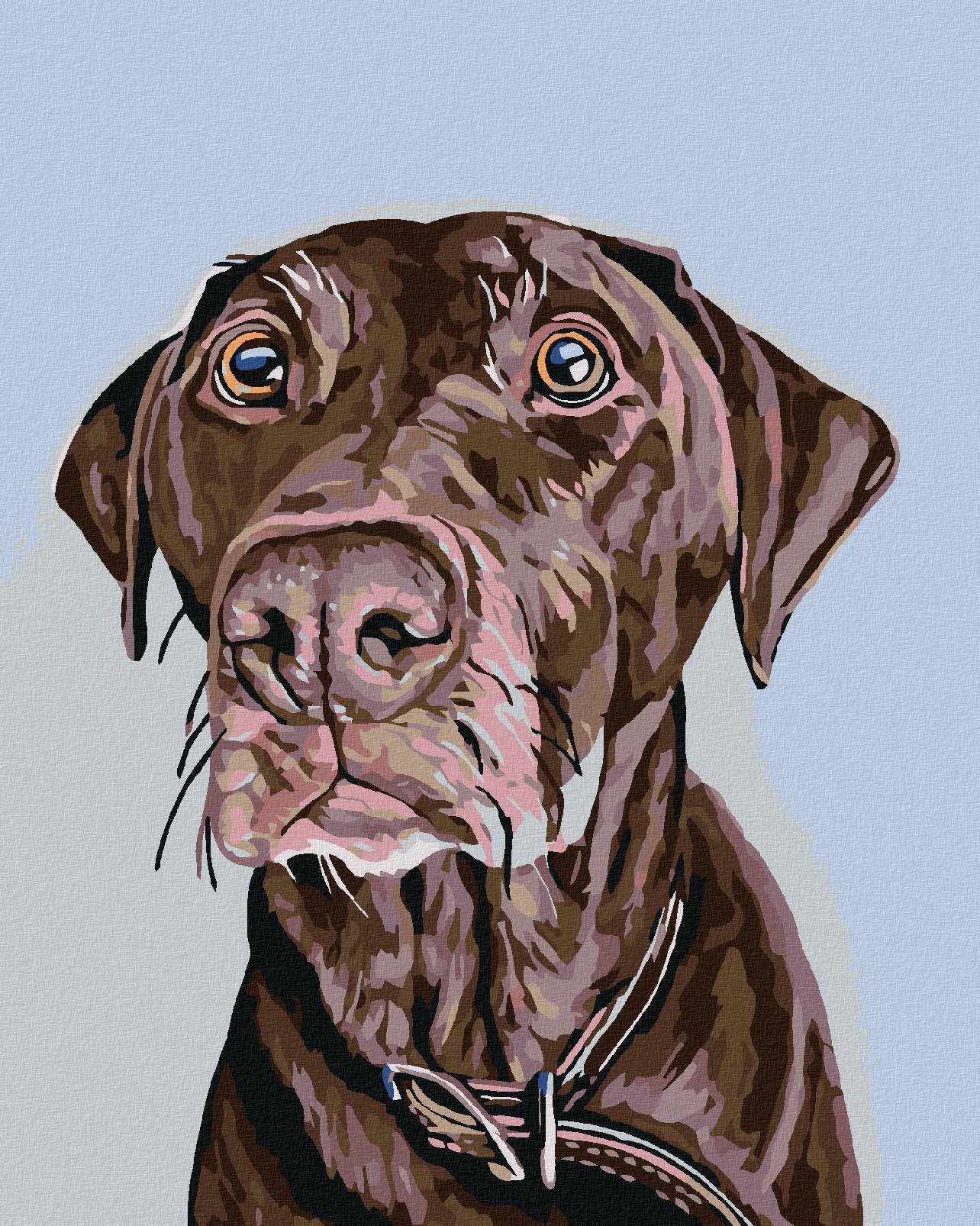 Malování podle čísel - Hnědý pes s hnědým obojkem, 40x50 cm, bez rámu a bez vypnutí plátna