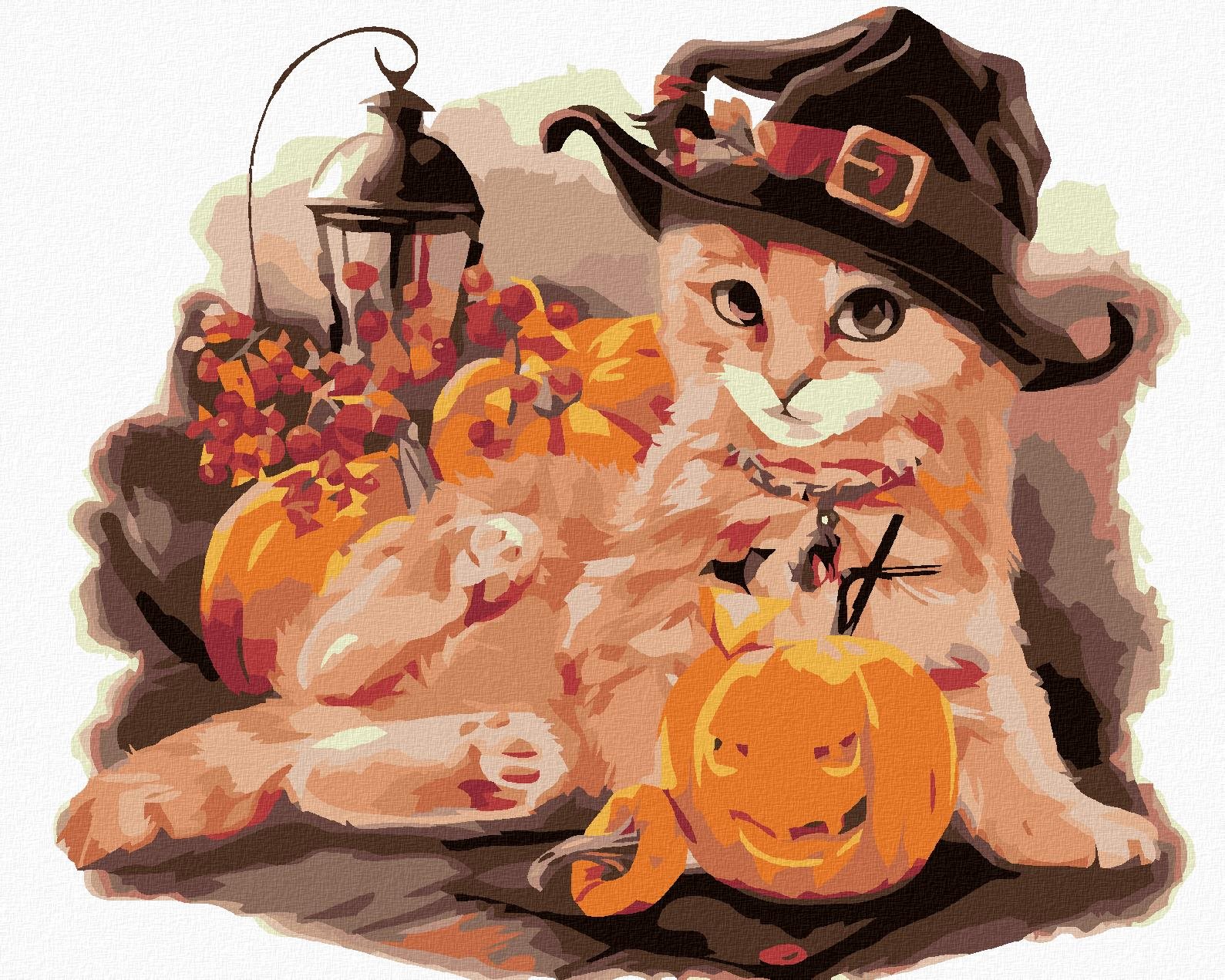 Malování podle čísel - Kotě s dýněmi, 50x40 cm, vypnuté plátno na rám