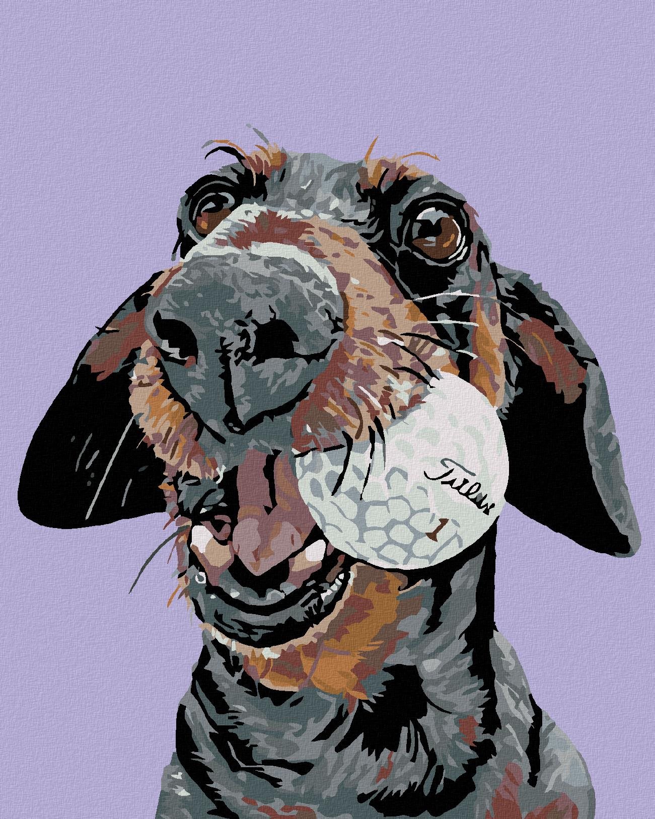 Malování podle čísel - Pes s golfovým míčkem, 40x50 cm, bez rámu a bez vypnutí plátna