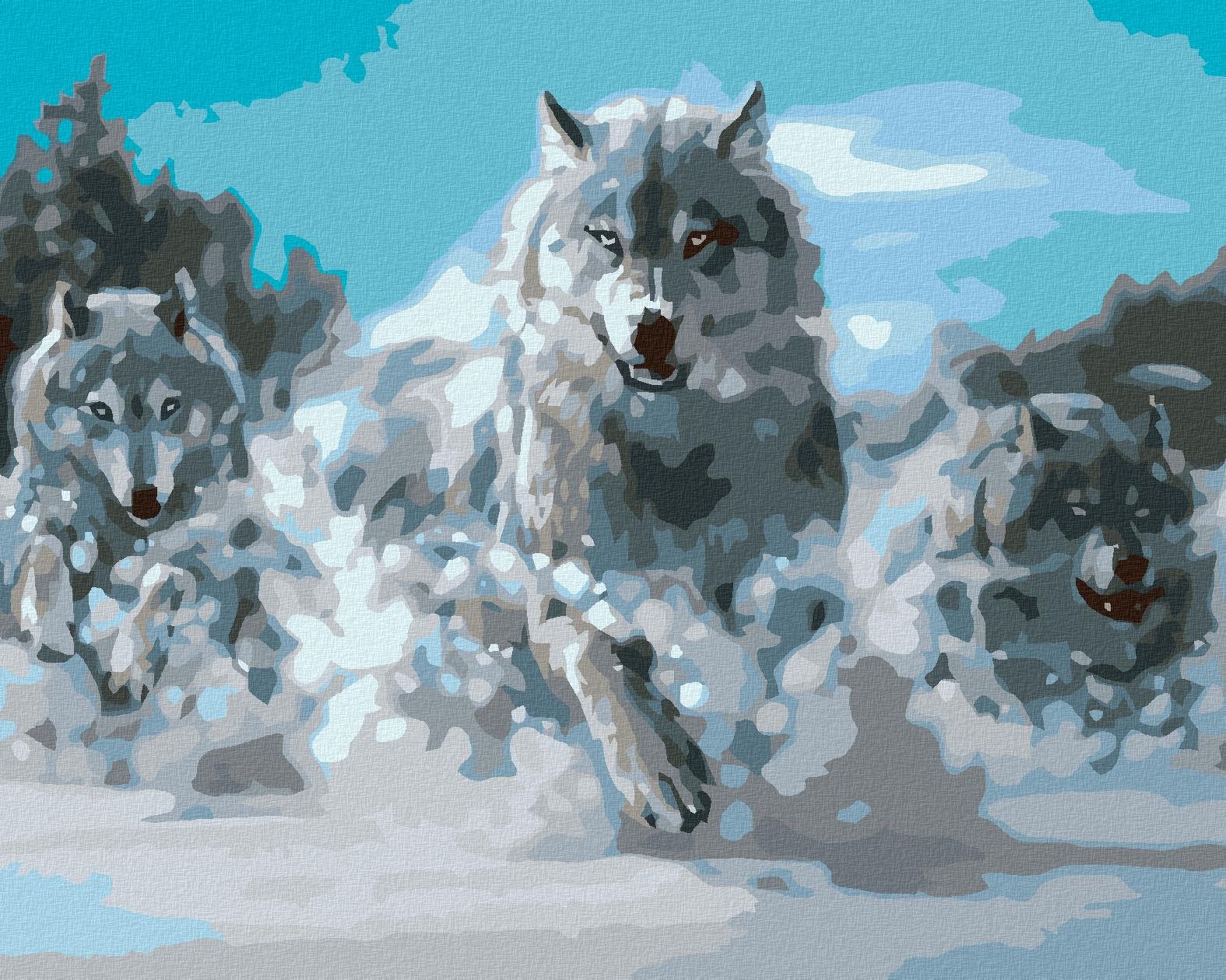Malování podle čísel - Běžící vlci, 100x80 cm, bez rámu a bez vypnutí plátna