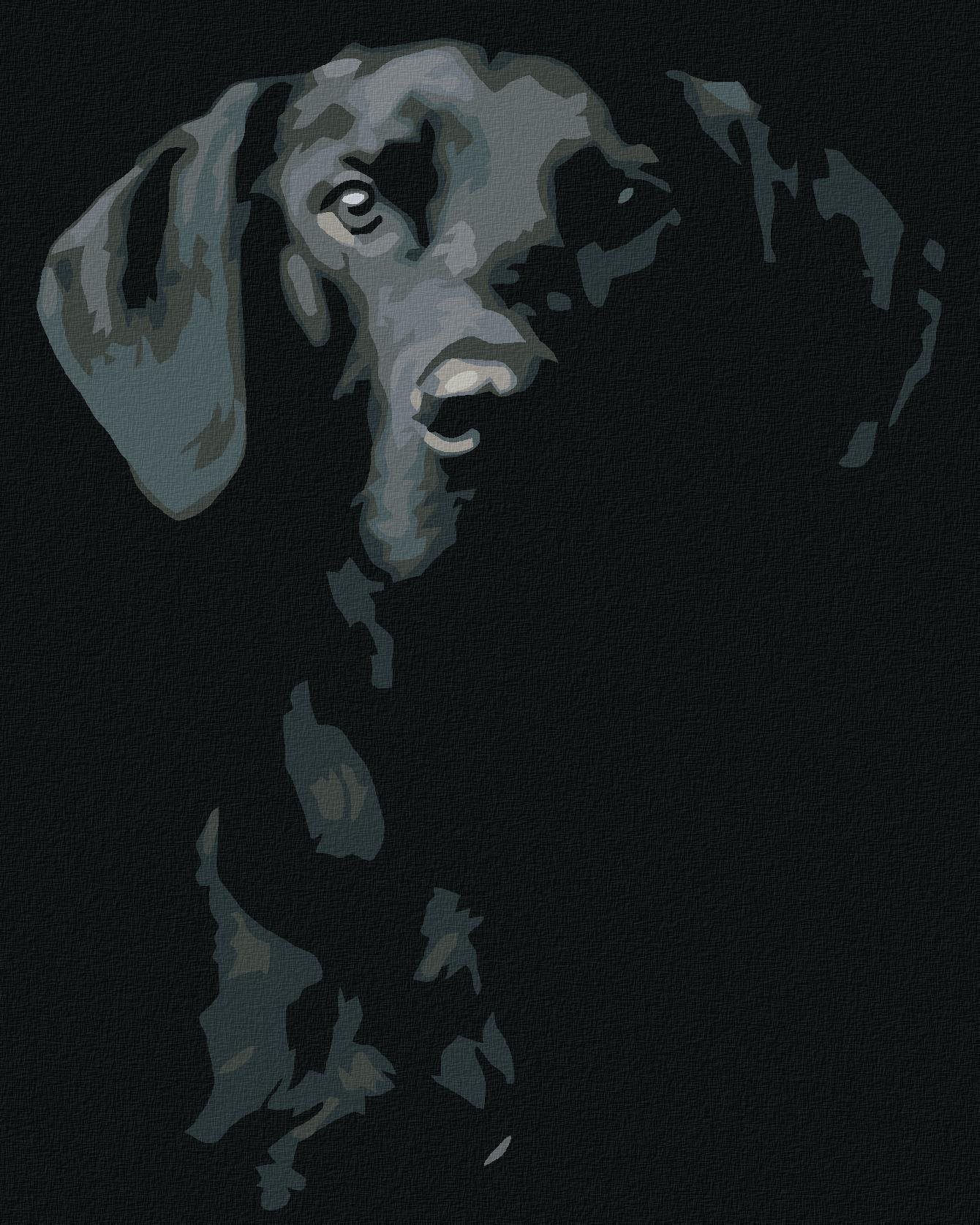Malování podle čísel - Černobílý pes, 40x50 cm, bez rámu a bez vypnutí plátna