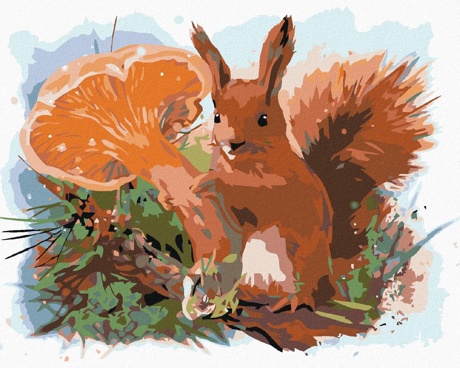 Malování podle čísel - Veverka, 50x40 cm, vypnuté plátno na rám