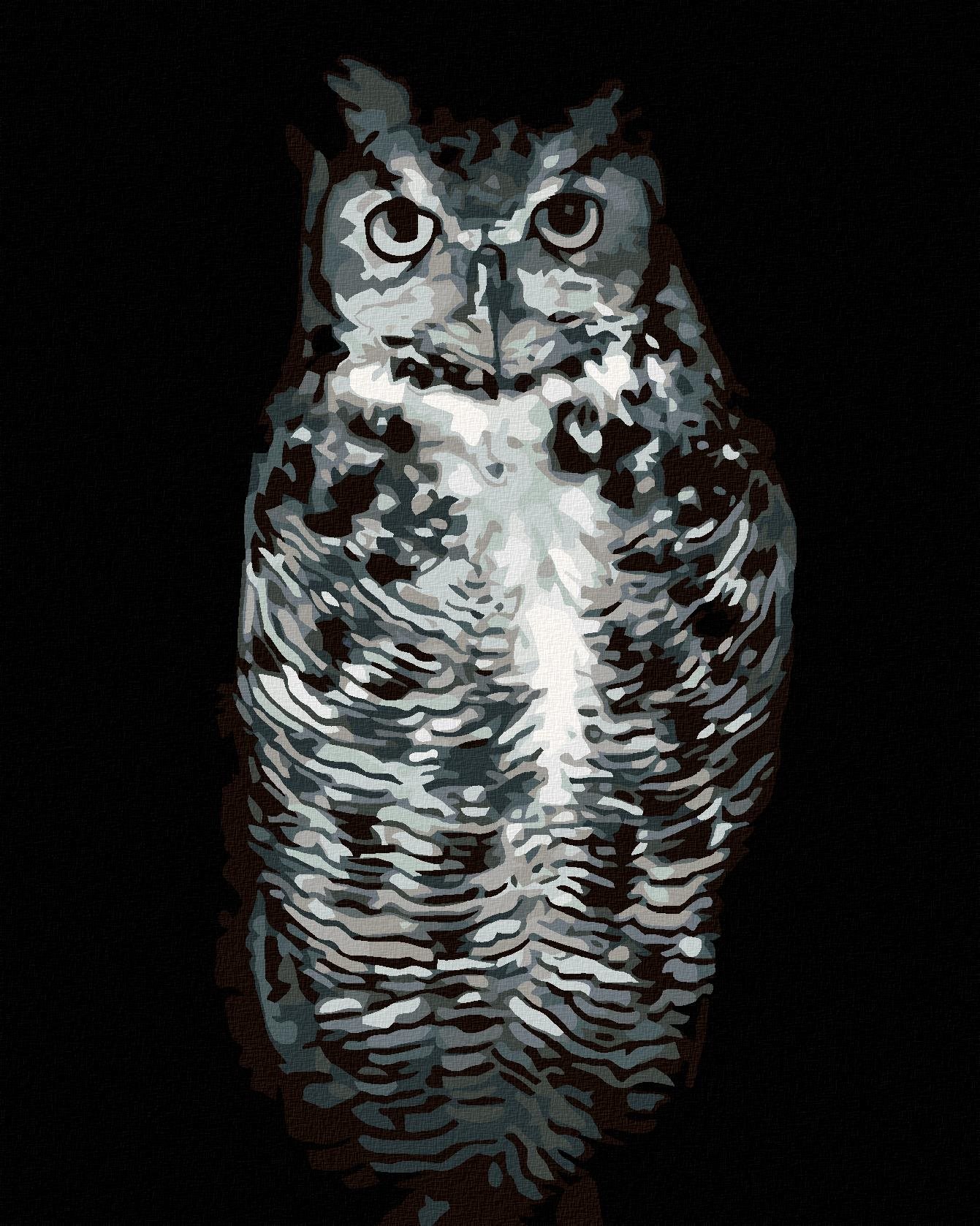 Malování podle čísel - Černobílá sova, 80x100 cm, vypnuté plátno na rám