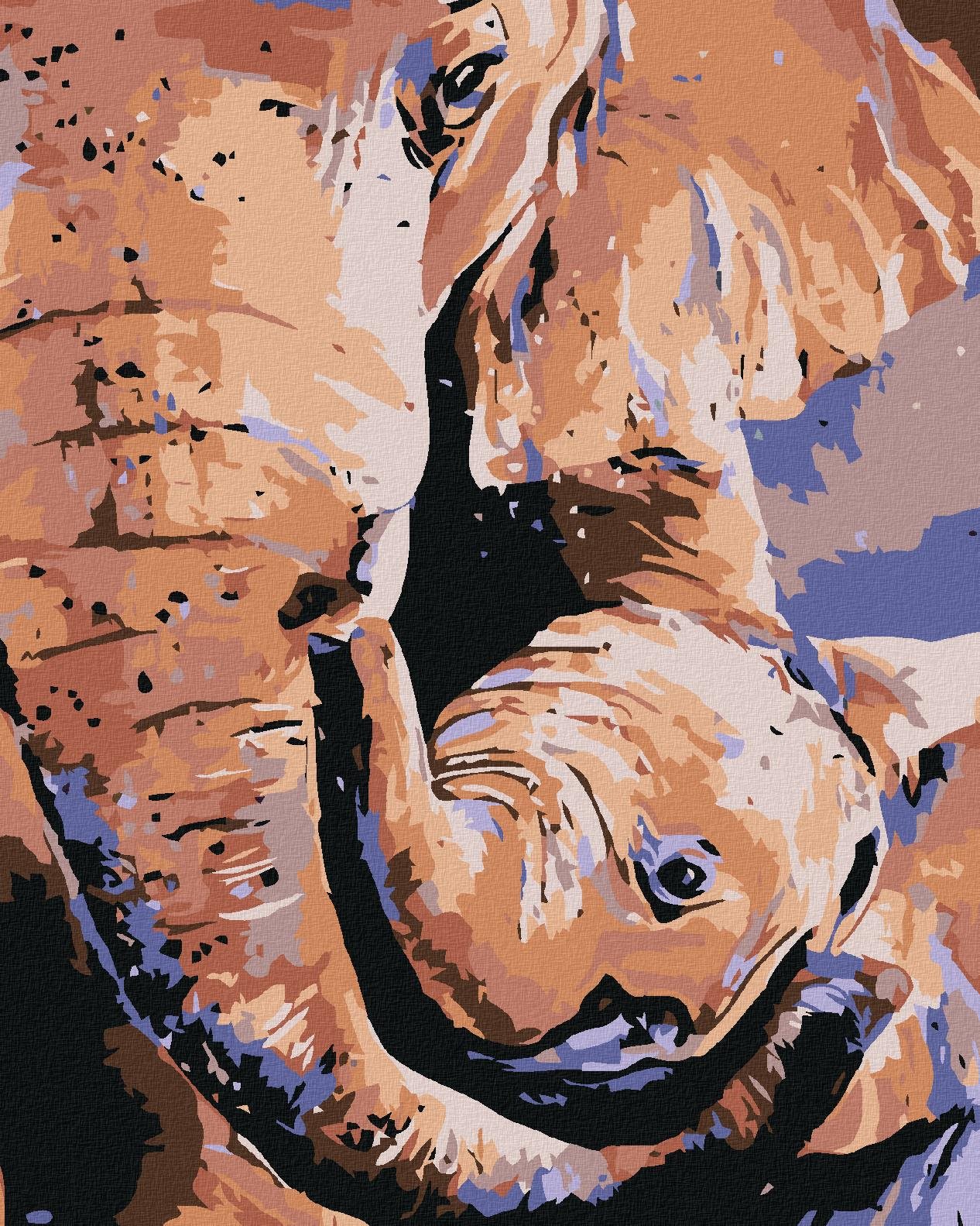 Malování podle čísel - Slonice a slůně, 40x50 cm, vypnuté plátno na rám