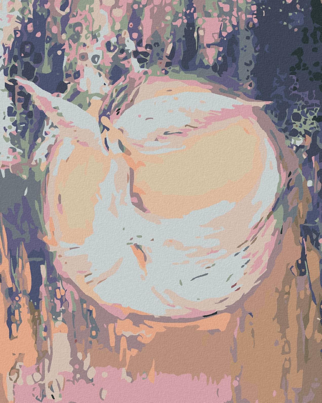Malování podle čísel - Andělé od Lenky - Dream angel, 40x50 cm, bez rámu a bez vypnutí plátna