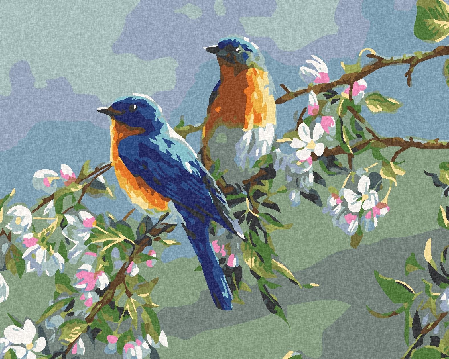 Malování podle čísel - Ptáčci, 50x40 cm, bez rámu a bez vypnutí plátna