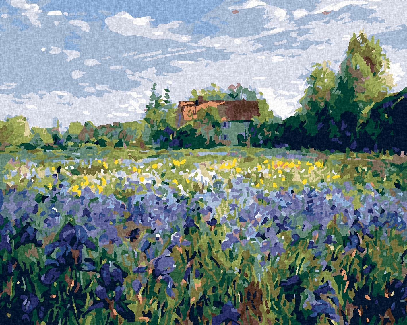 Diamondi - DŮM NA VENKOVĚ, 40x50 cm, vypnuté plátno na rám