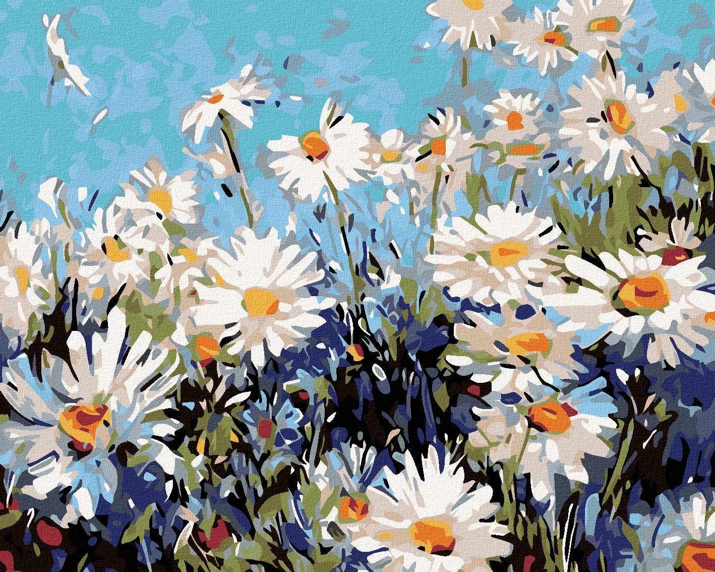 Diamondi - KOPRETINY, 40x50 cm, vypnuté plátno na rám