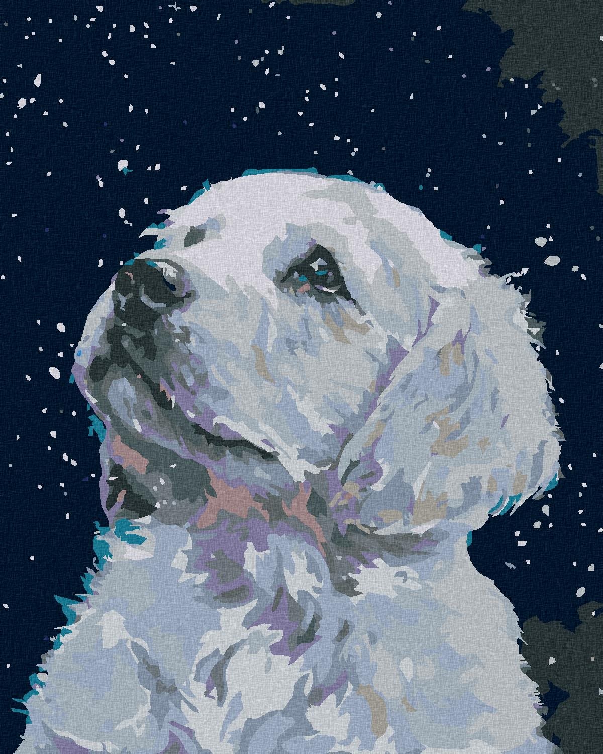 Diamondi - BÍLÉ ŠTĚŇÁTKO, 40x50 cm, vypnuté plátno na rám