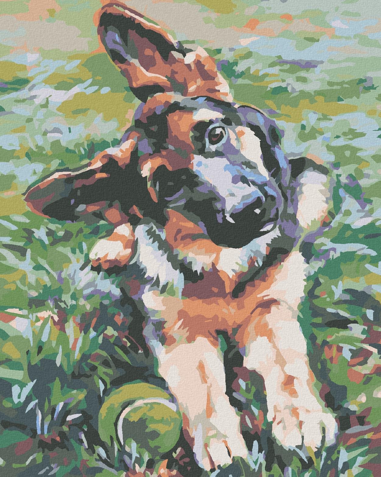 Diamondi - ŠTĚNĚ OVČÁKA, 40x50 cm, vypnuté plátno na rám
