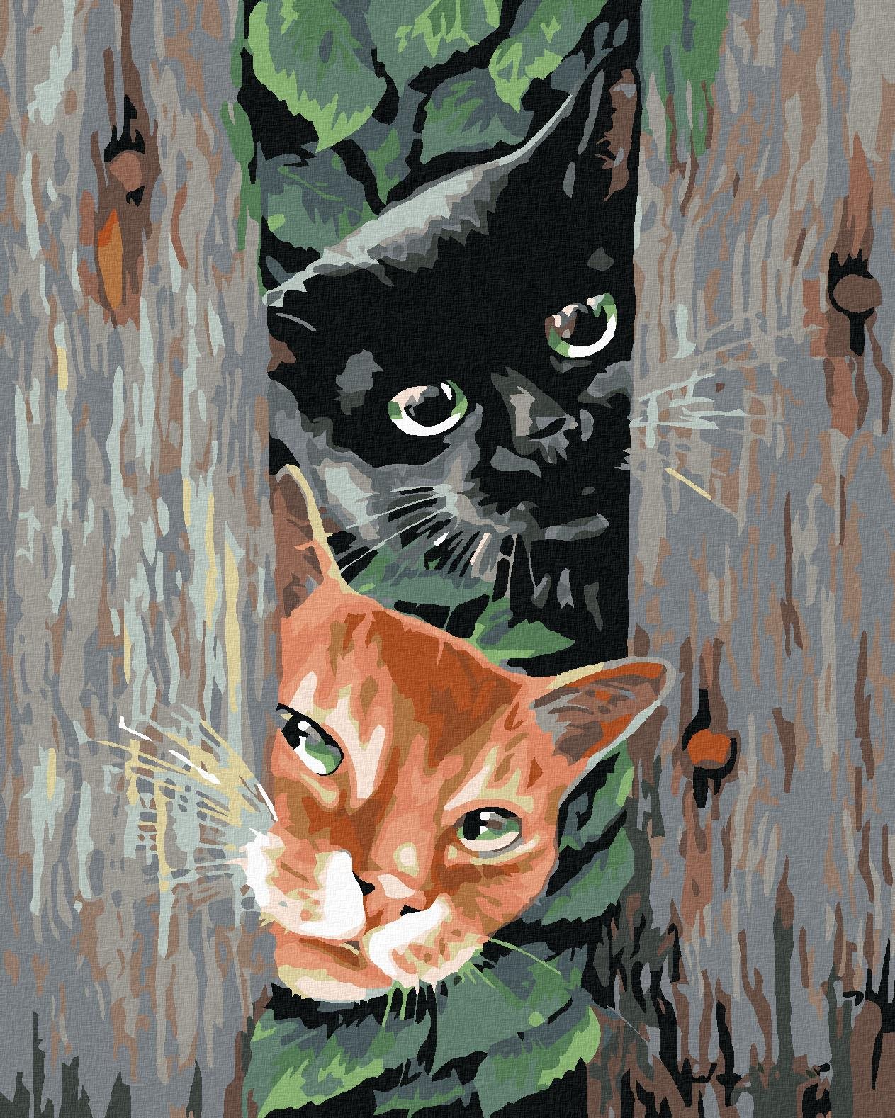 Diamondi - ČÍHAJÍCÍ KOČKY, 40x50 cm, vypnuté plátno na rám
