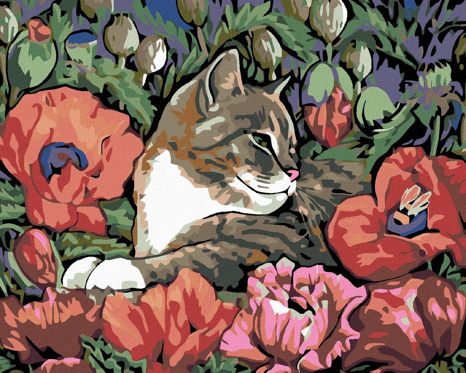 Diamondi - KOTĚ A VLČÍ MÁK, 40x50 cm, vypnuté plátno na rám