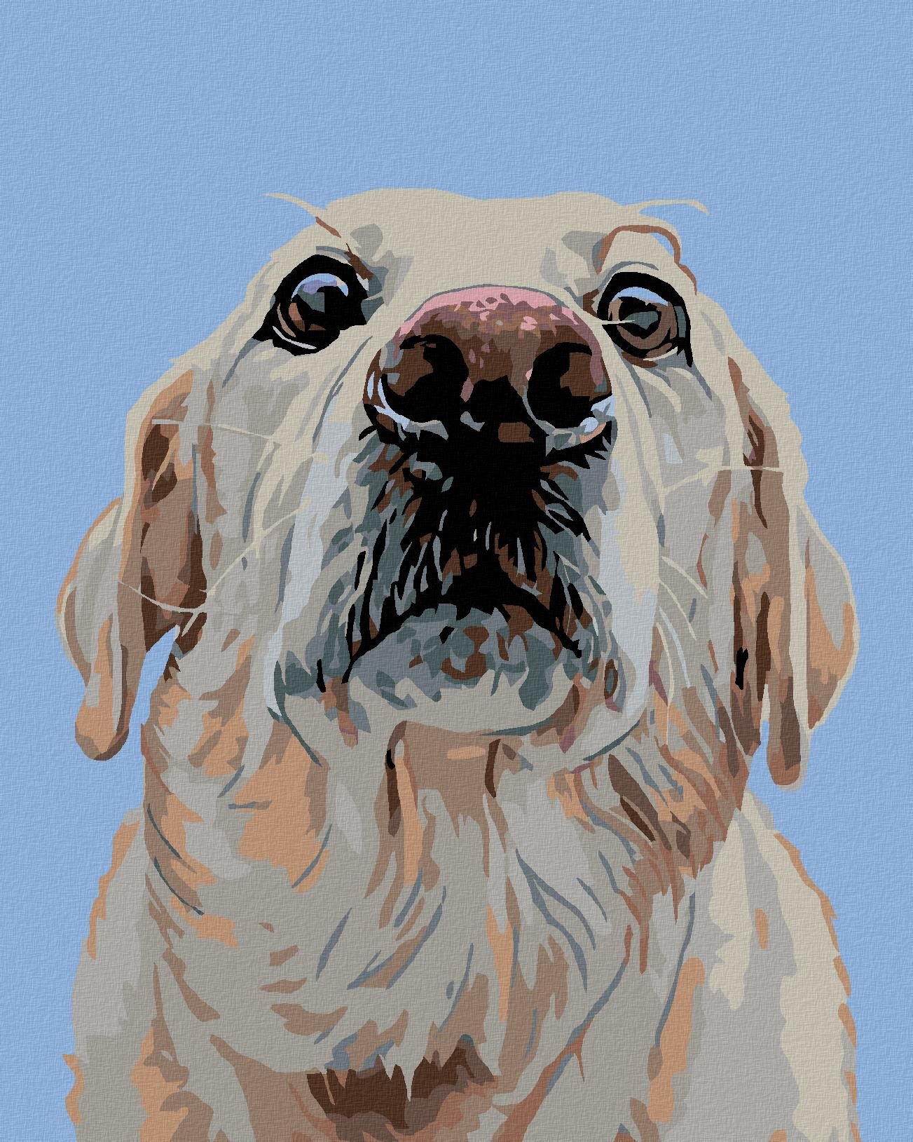 Diamondi - LABRADOR, 40x50 cm, vypnuté plátno na rám