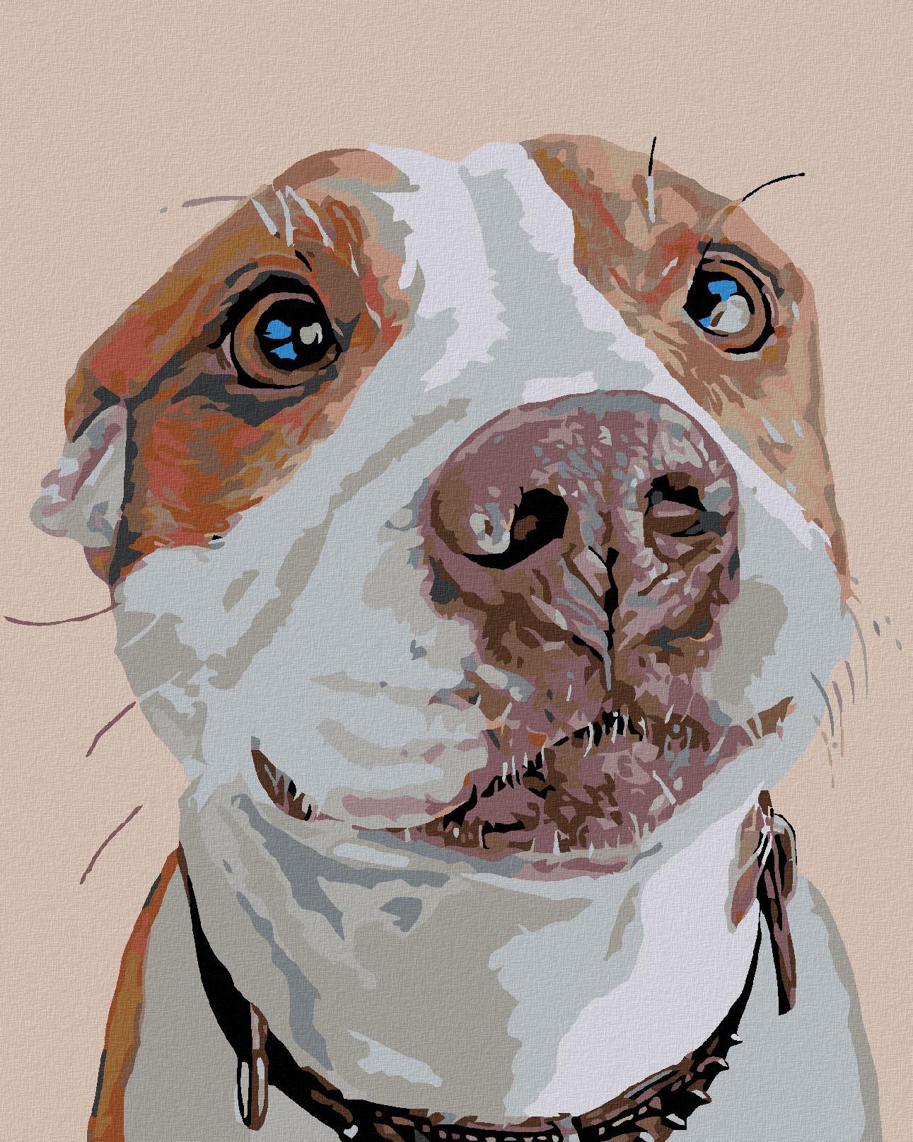 Diamondi - ČEKAJÍCÍ PES, 40x50 cm, vypnuté plátno na rám
