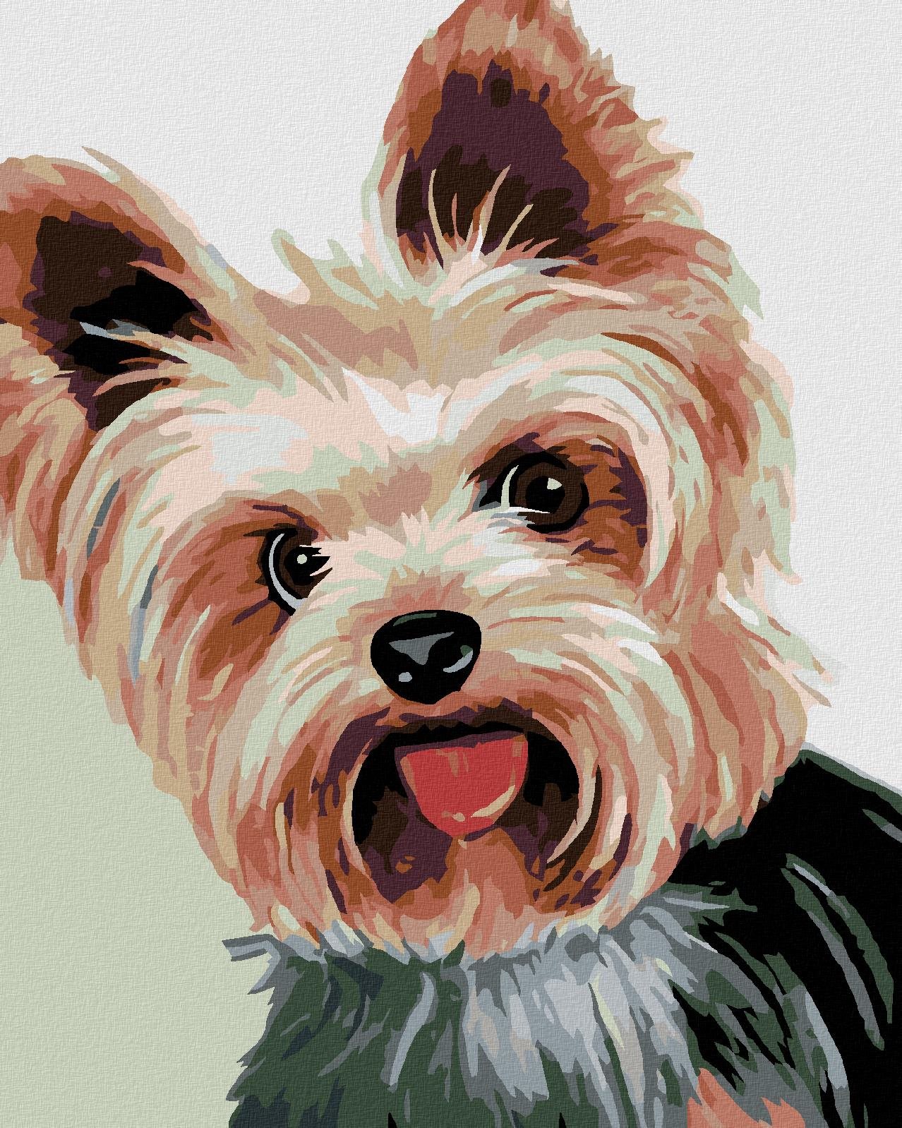 Diamondi - JORKŠÍREK II, 40x50 cm, vypnuté plátno na rám