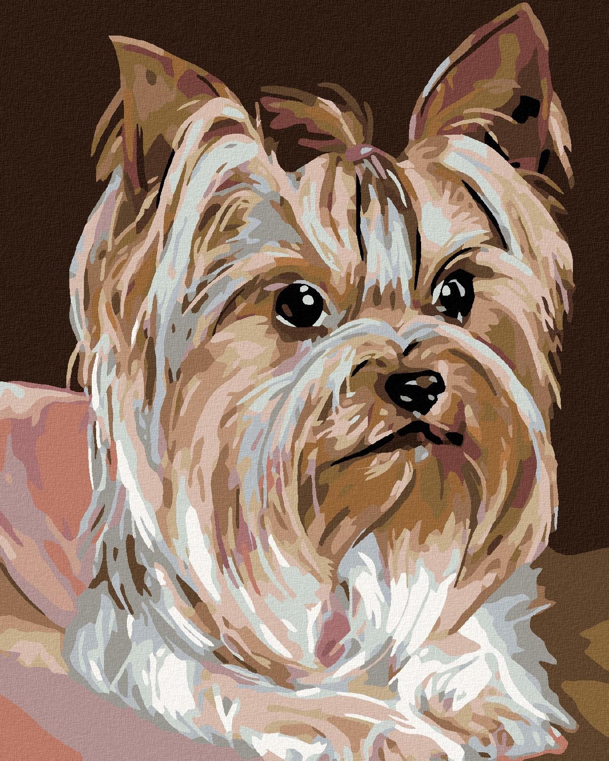 Diamondi - JORKŠÍRKA, 40x50 cm, vypnuté plátno na rám