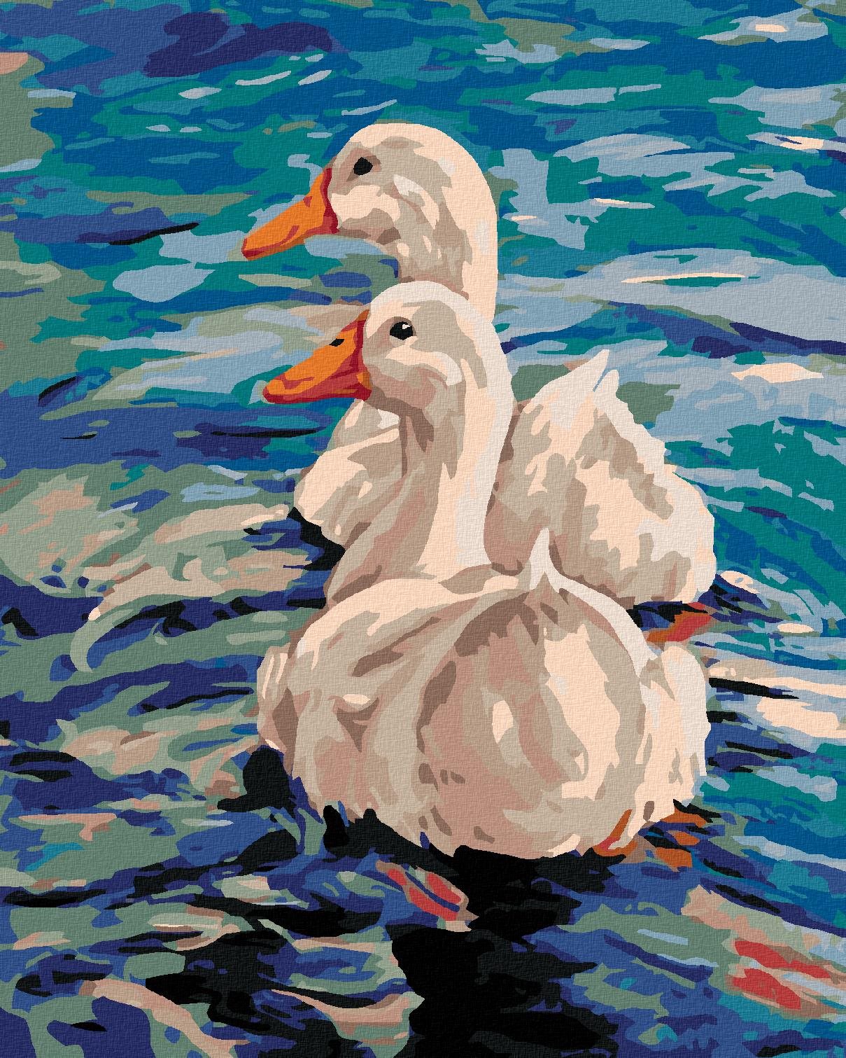 Diamondi - DVĚ KACHNY NA VODĚ, 40x50 cm, vypnuté plátno na rám