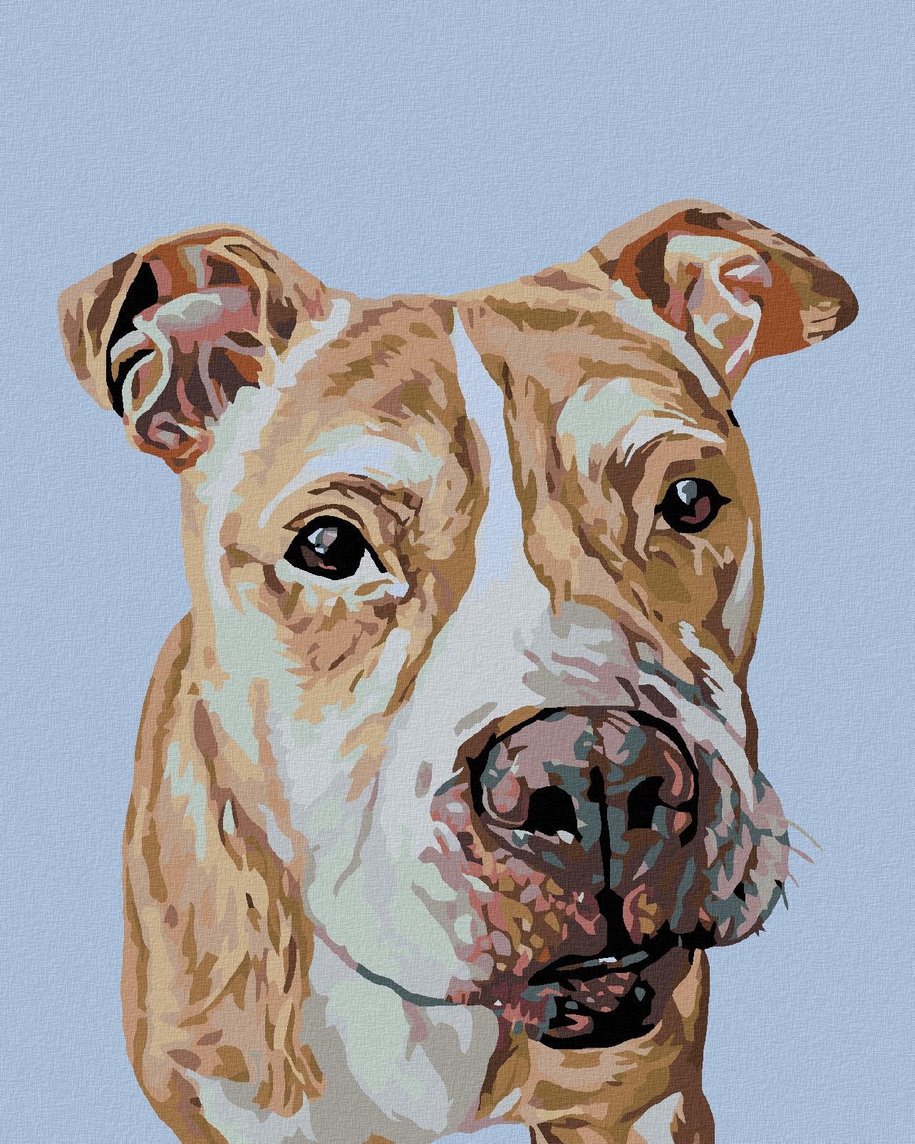Diamondi - HNĚDÝ STAFORD, 40x50 cm, vypnuté plátno na rám
