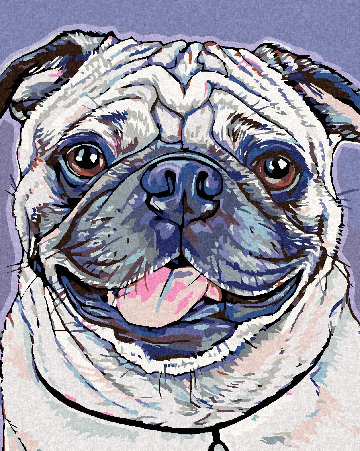 Diamondi - MOPSÍK, 40x50 cm, vypnuté plátno na rám