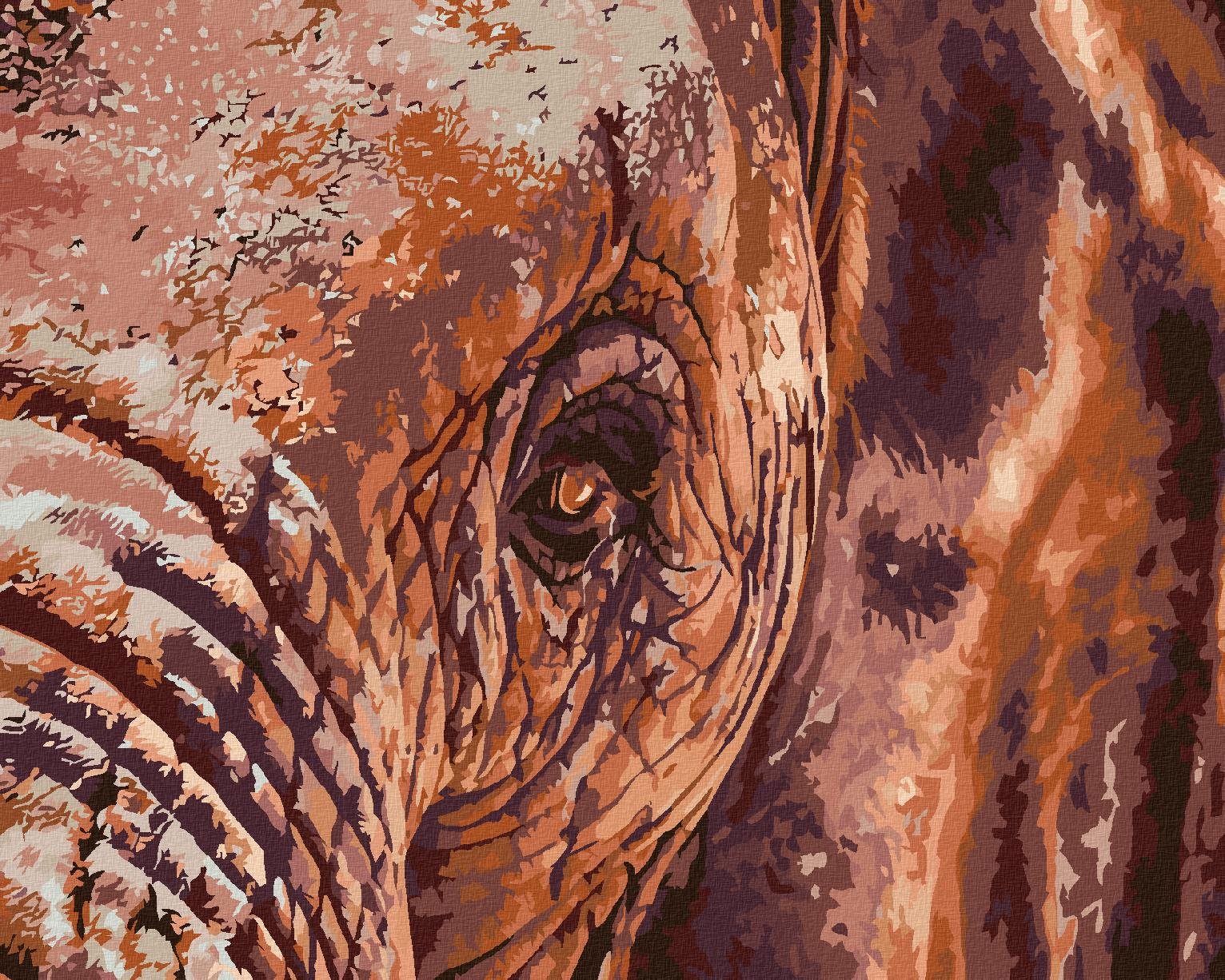 Diamondi - SLONÍ POHLED, 40x50 cm, vypnuté plátno na rám