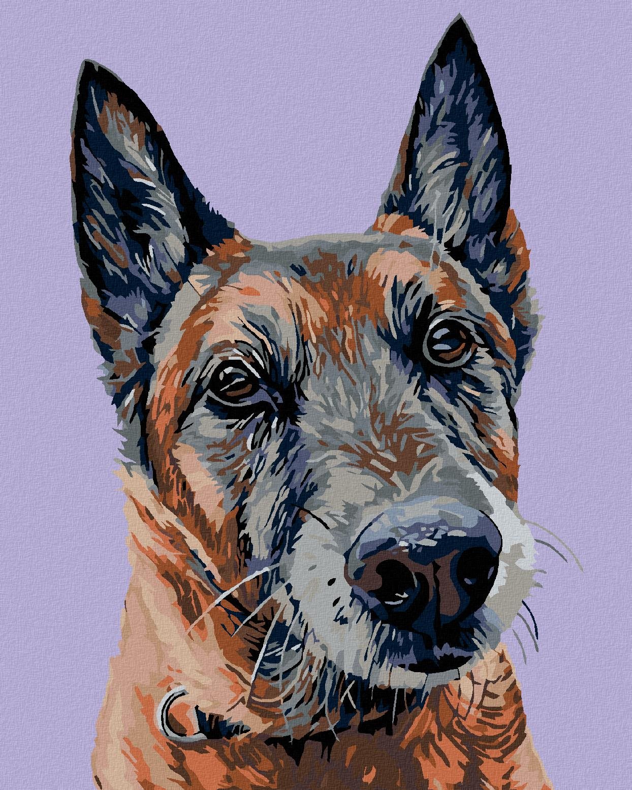 Diamondi - STARÝ VLČÁK, 40x50 cm, vypnuté plátno na rám