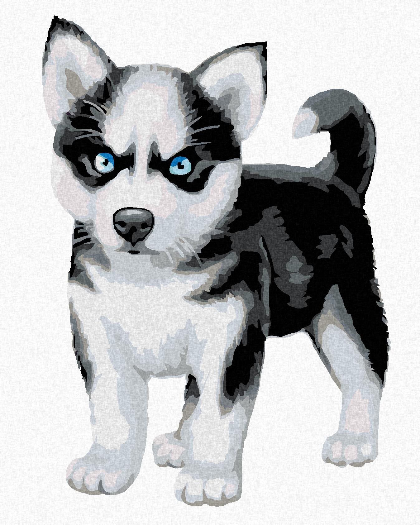 Diamondi - MODROOKÝ HUSKY, 40x50 cm, vypnuté plátno na rám