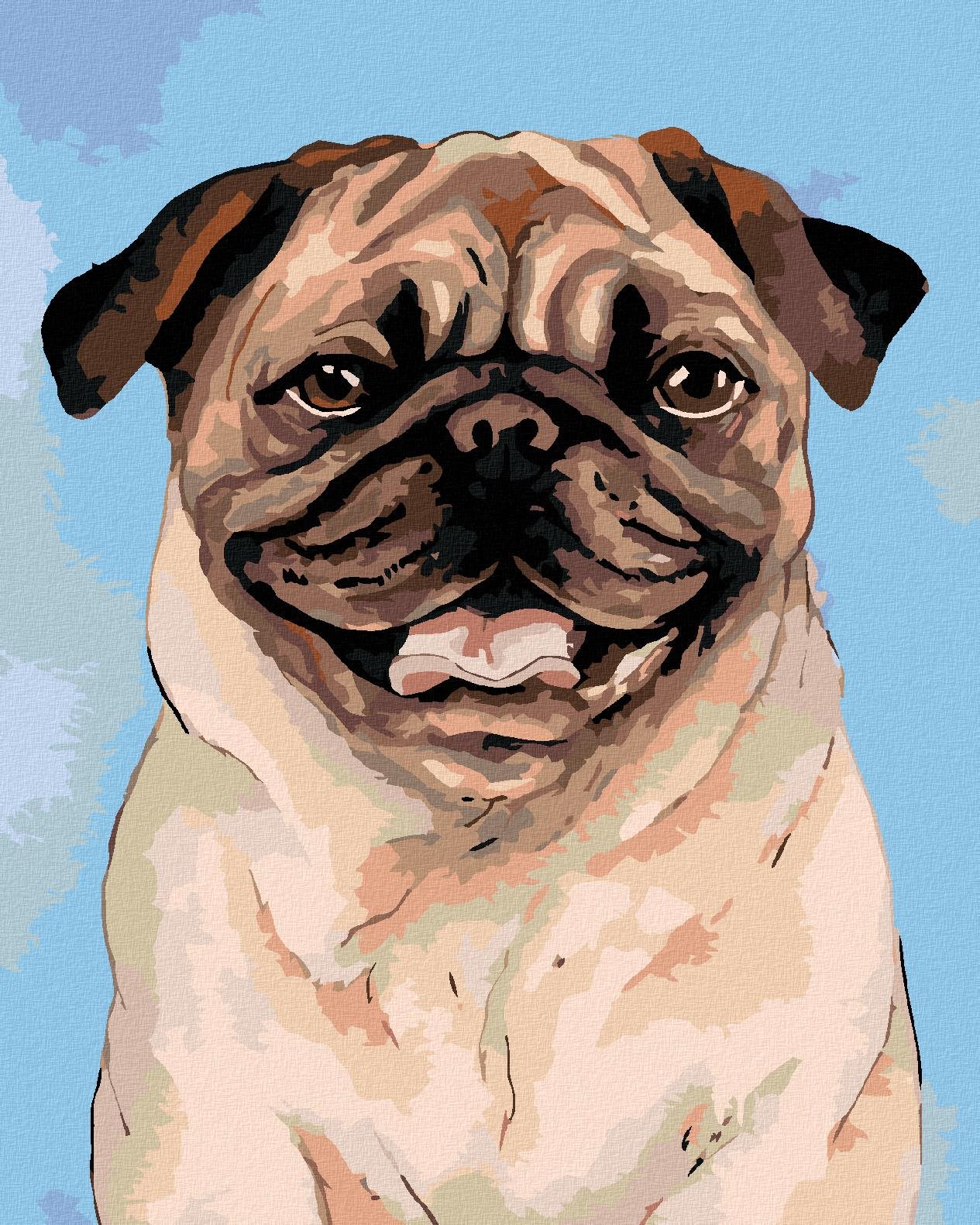 Diamondi - HNĚDÝ MOPSÍK, 40x50 cm, vypnuté plátno na rám