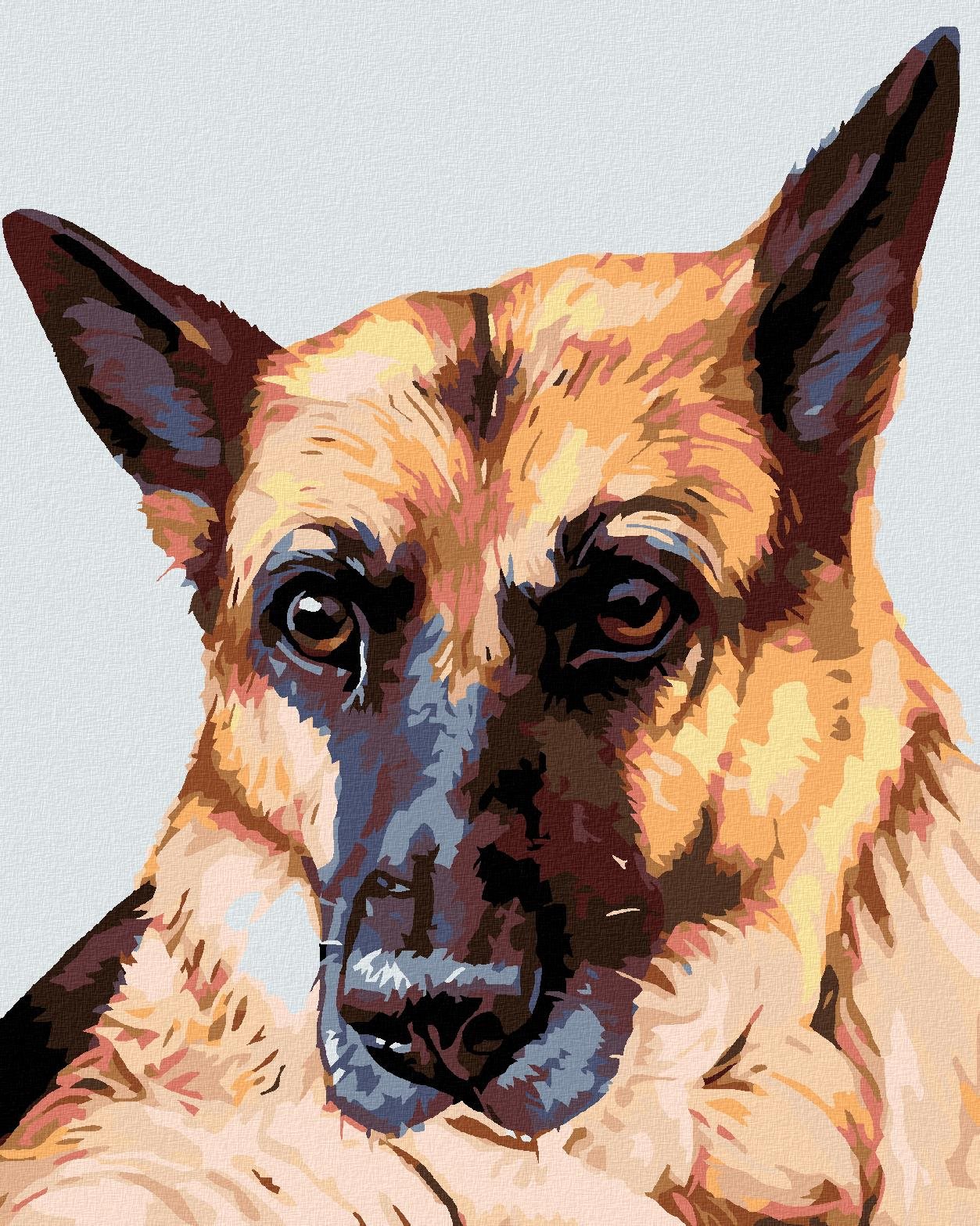 Diamondi - VLČÁK, 40x50 cm, vypnuté plátno na rám