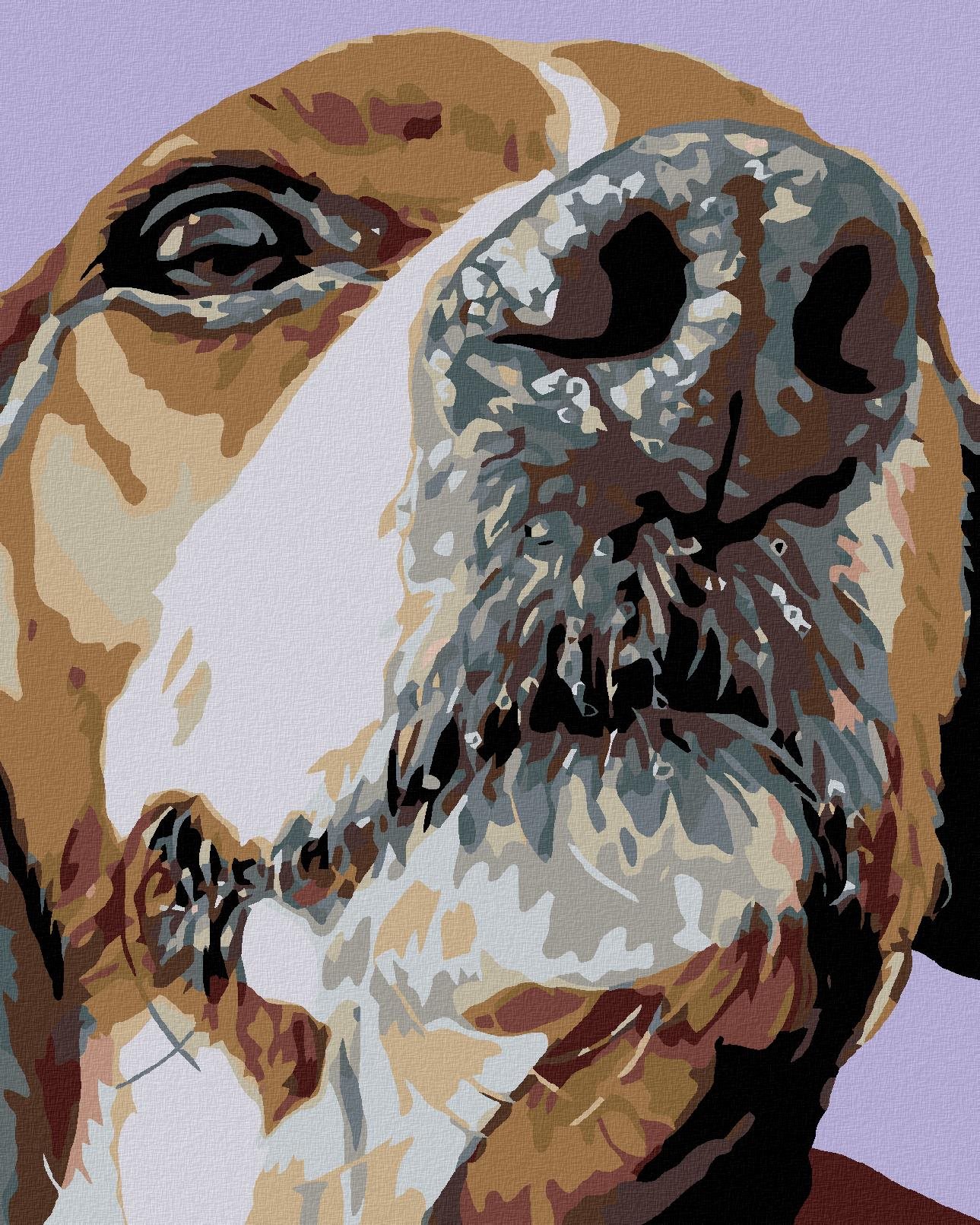 Diamondi - ČUMÁČEK BÍGLA, 40x50 cm, vypnuté plátno na rám