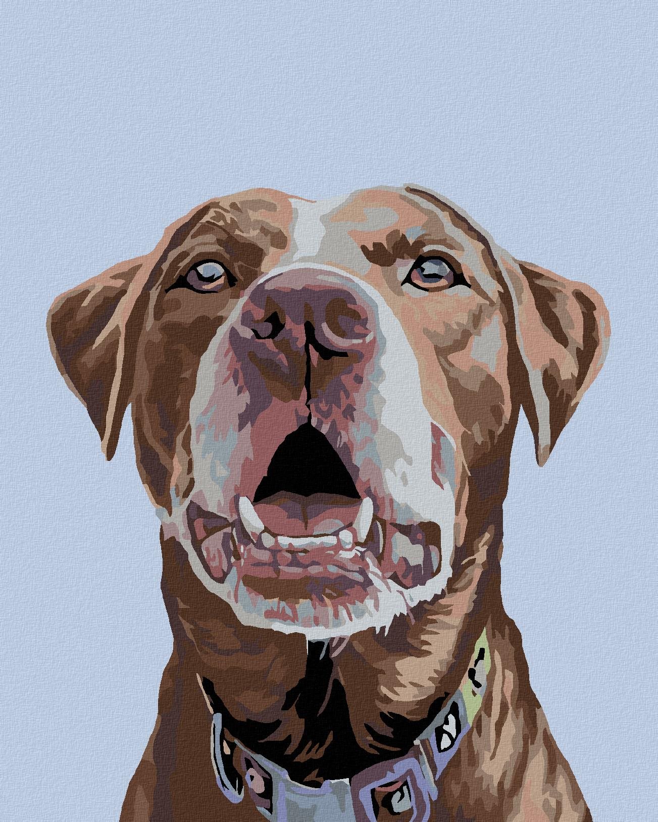 Diamondi - HNĚDÝ LABRADOR, 40x50 cm, vypnuté plátno na rám