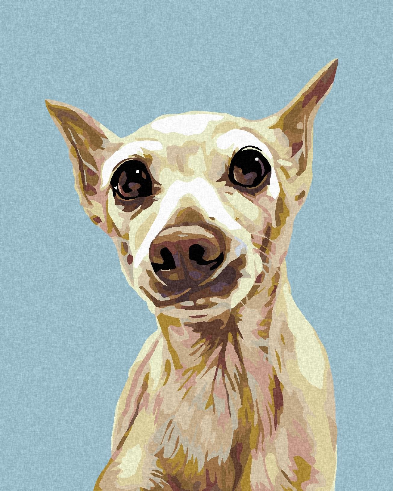 Diamondi - VYDĚŠENÝ PEJSEK, 40x50 cm, vypnuté plátno na rám